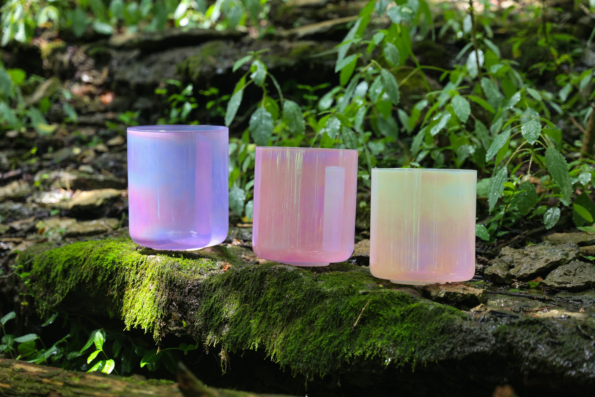 Three iridescent crystal singing bowls placed on a moss-covered log in a lush green forest setting.