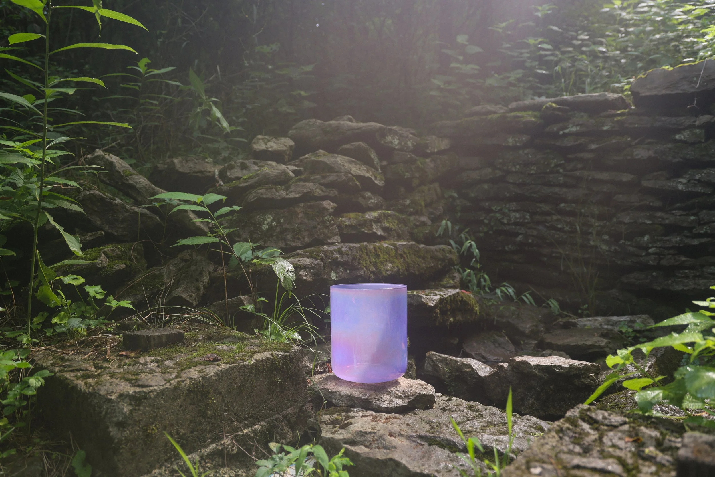 A translucent mauve crystal singing bowl in a natural outdoor setting on a rocky surface, surrounded by green plants and moss-covered rocks with a dark, dense forest background.