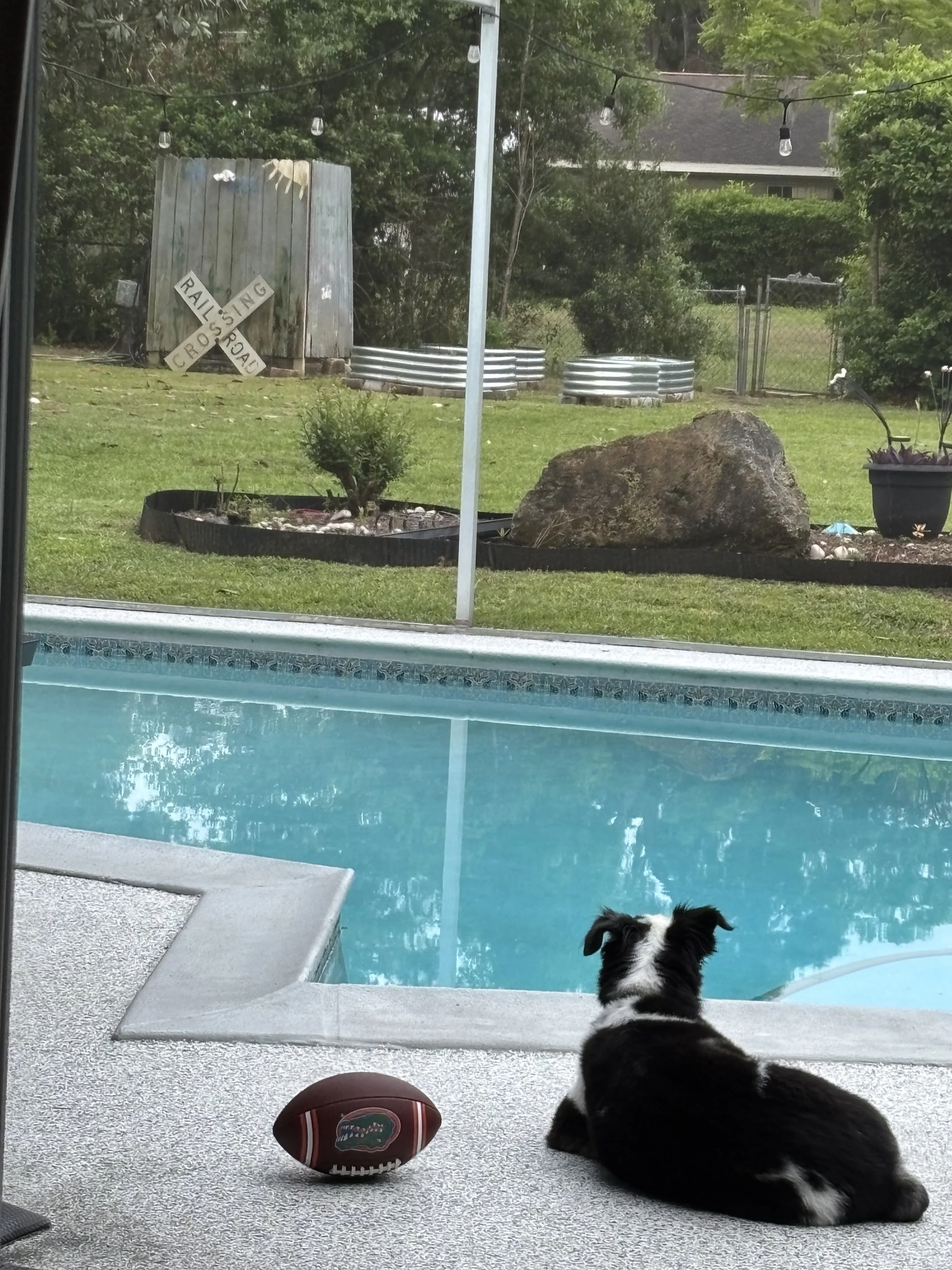 IMG_5818.jpeg