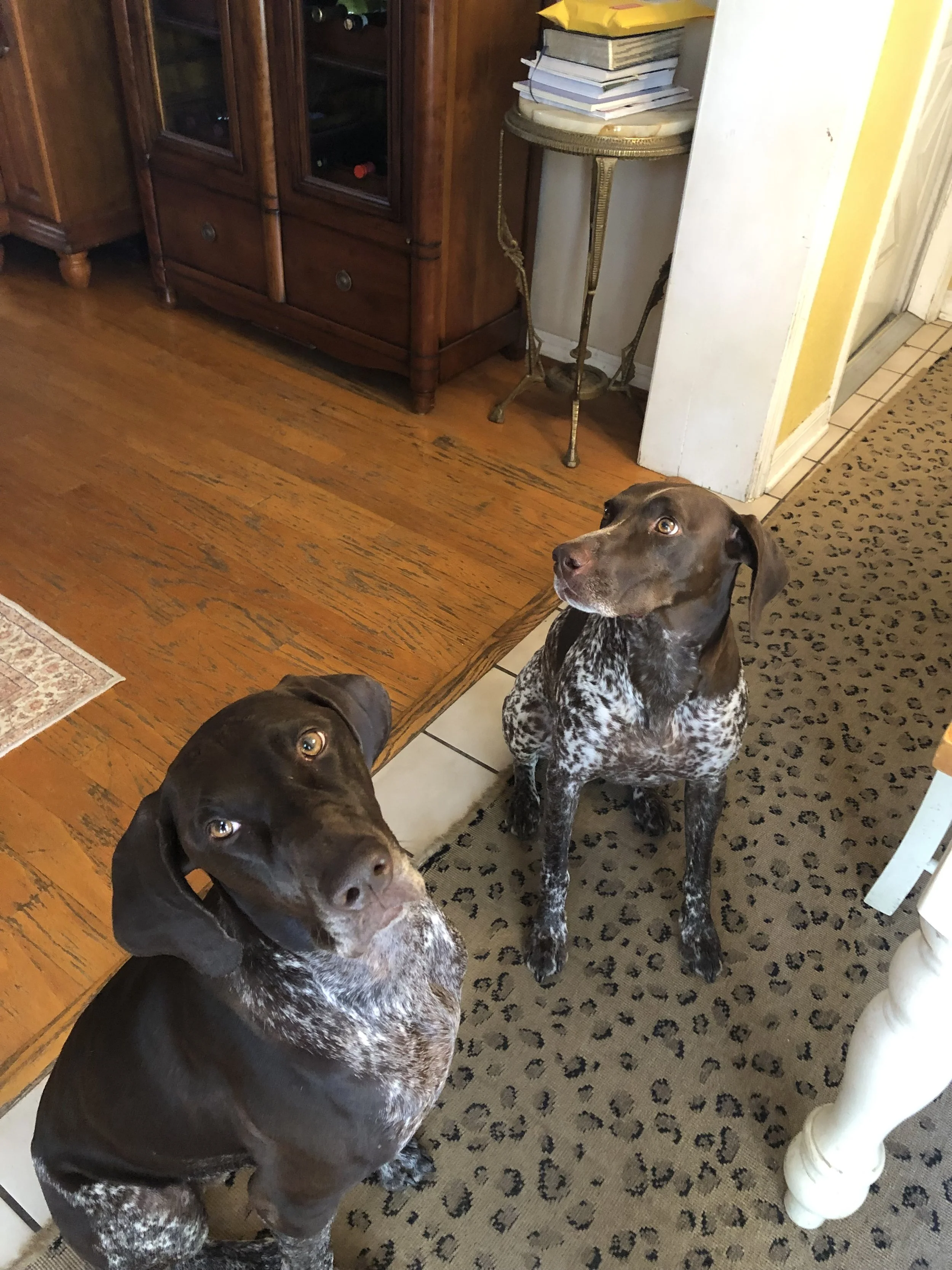 IMG_0234.jpeg