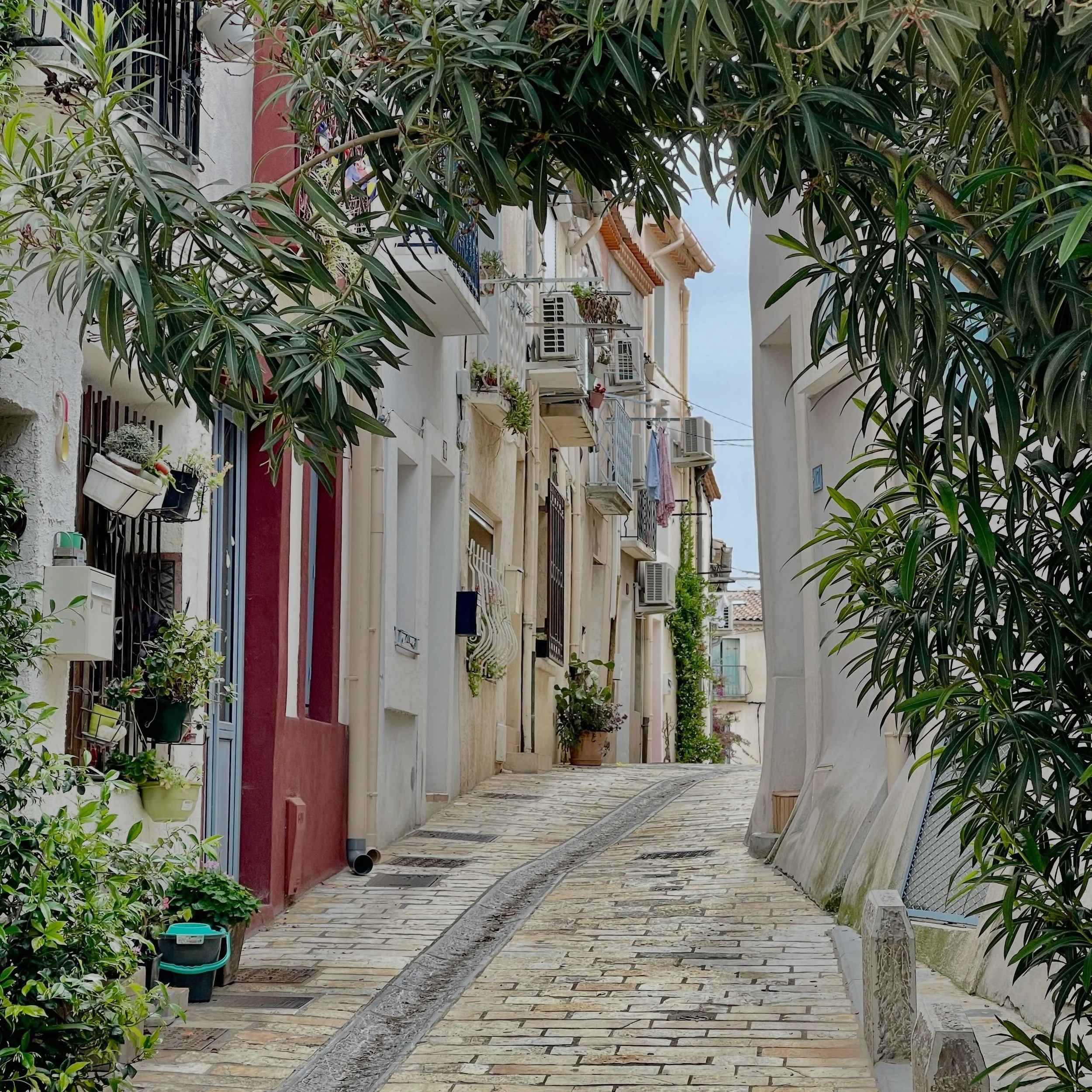Ein Nachmittag in M&egrave;ze. 

Keine Touristen. Keine Eile. Nur enge Gassen, leckeres Essen, Kunsthandwerk, mediterrane Flora, die Farben des S&uuml;dens und das Licht. 

#m&egrave;ze #s&uuml;dfrankreich #reisefotografie  #languedoc #verlag