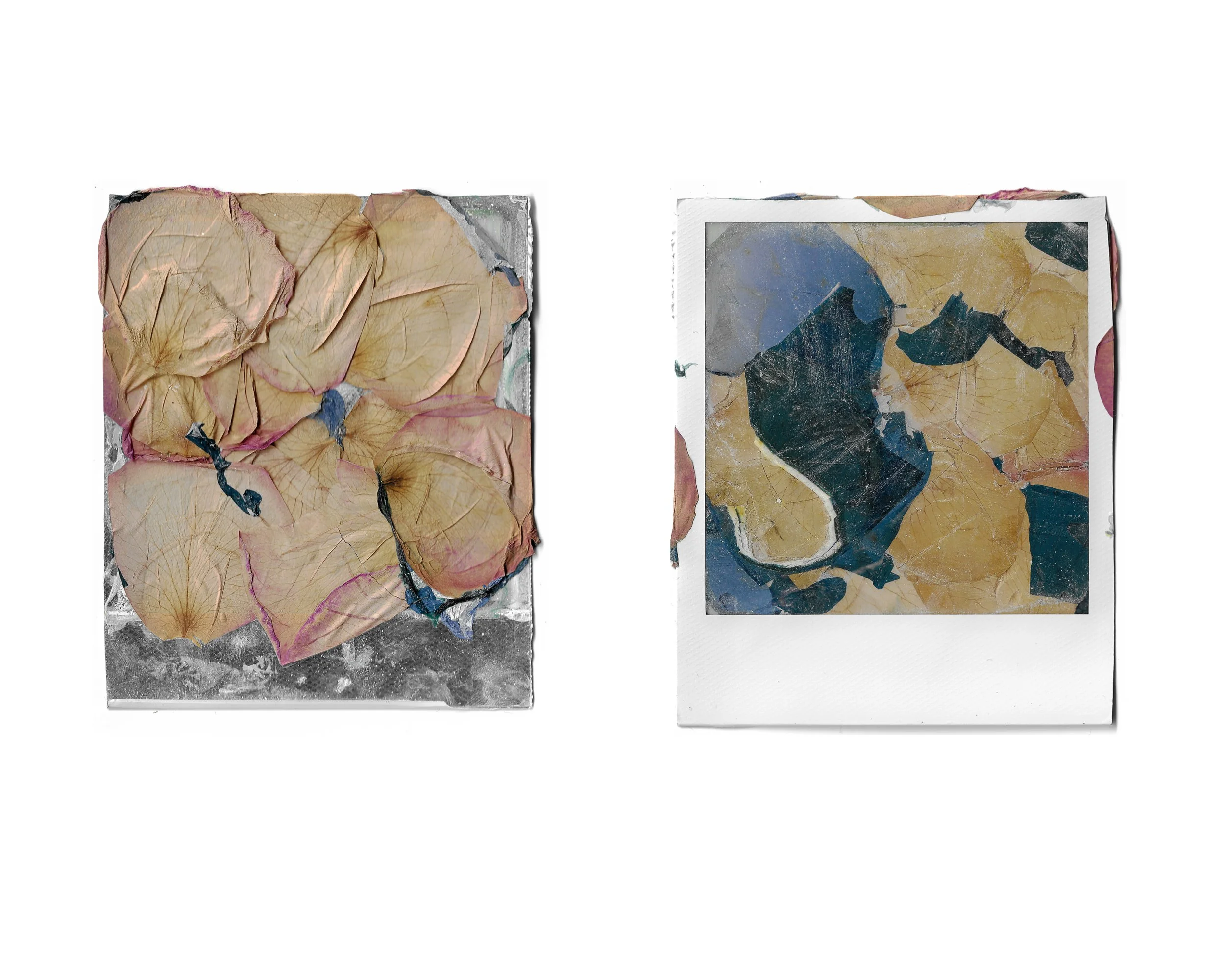 Two abstract art pieces resembling leaves or petals with textured, crumpled appearances, one with shades of beige and pink on a metallic silver background, and the other with blue and beige tones on a white background.