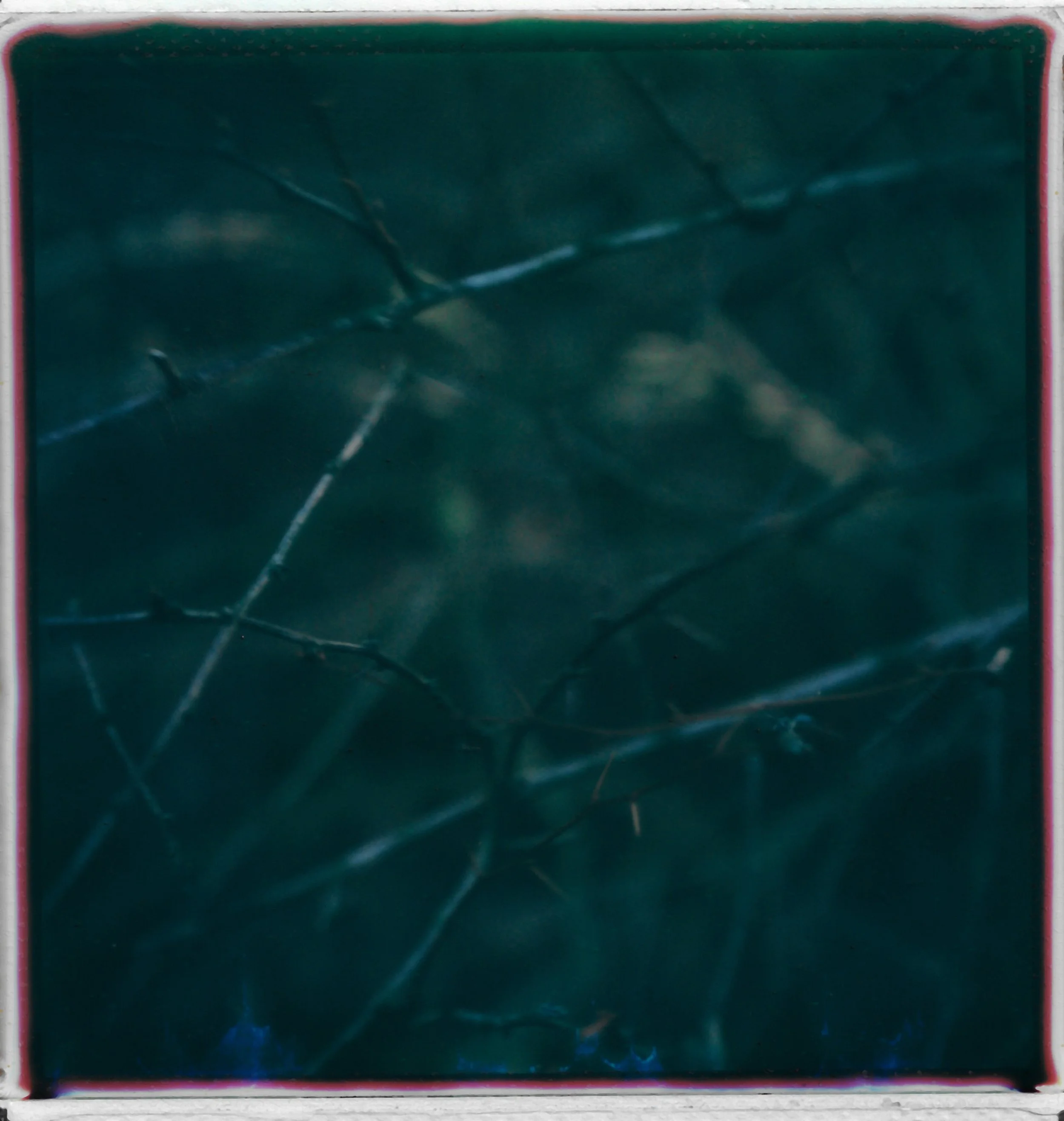 Close-up of a shattered green glass surface with multiple cracks.