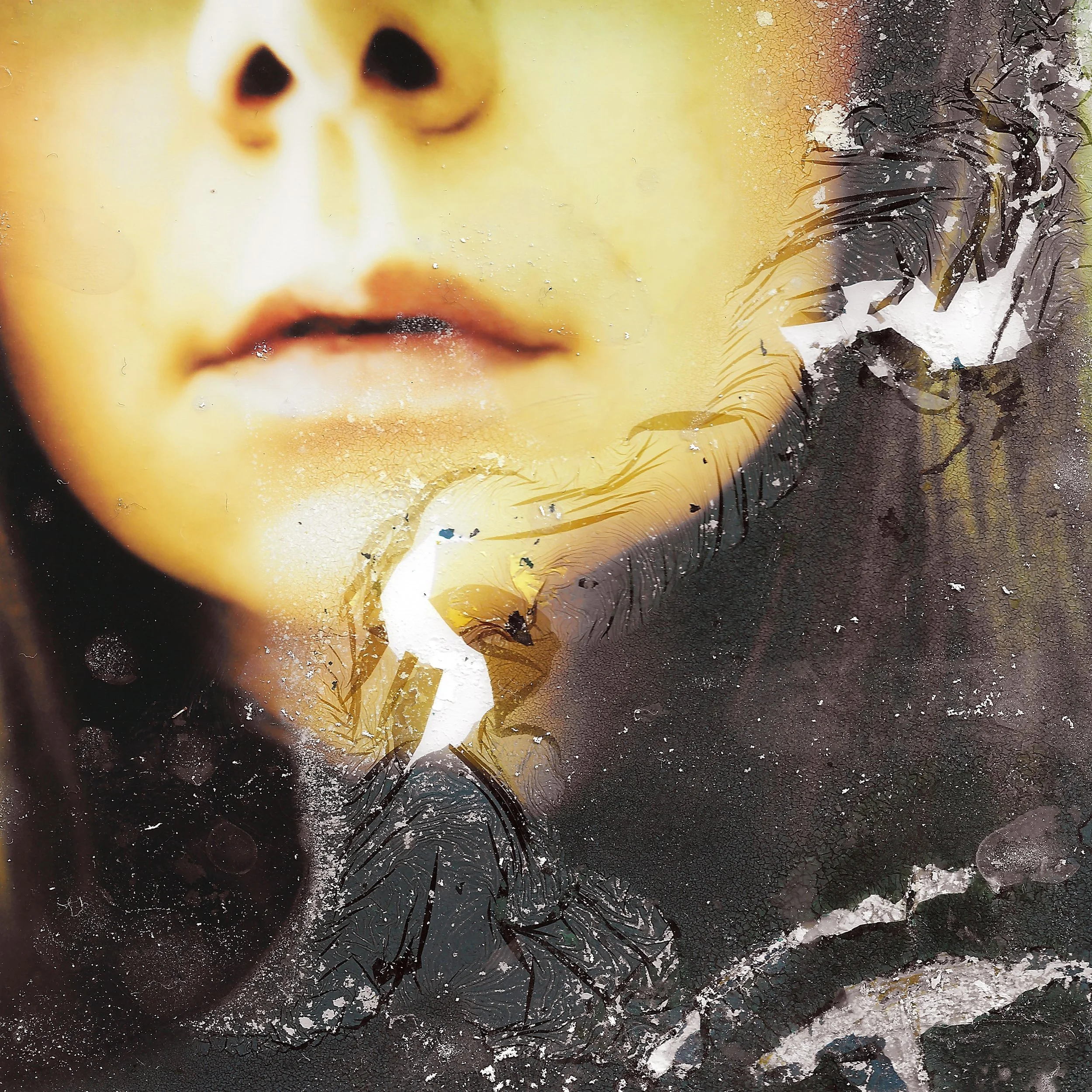 Close-up of a person's face with a focus on the nose, lips, and chin, featuring a textured artistic overlay and weathered appearance.