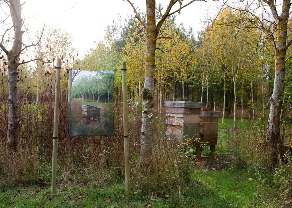 Part 1. A Guided Walk