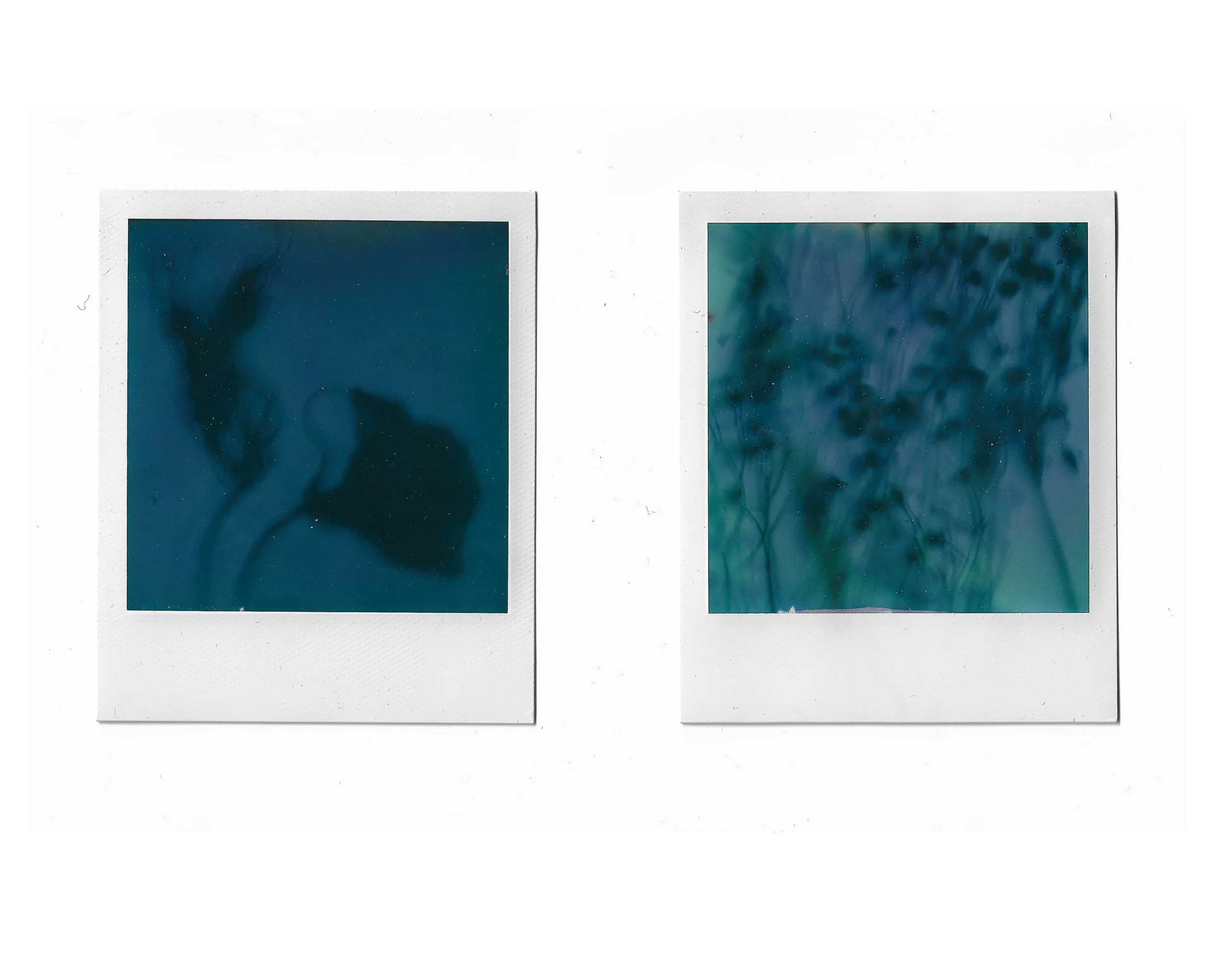 Two Polaroid photos with abstract blue and green ink or watercolor designs, placed side by side on a white surface.