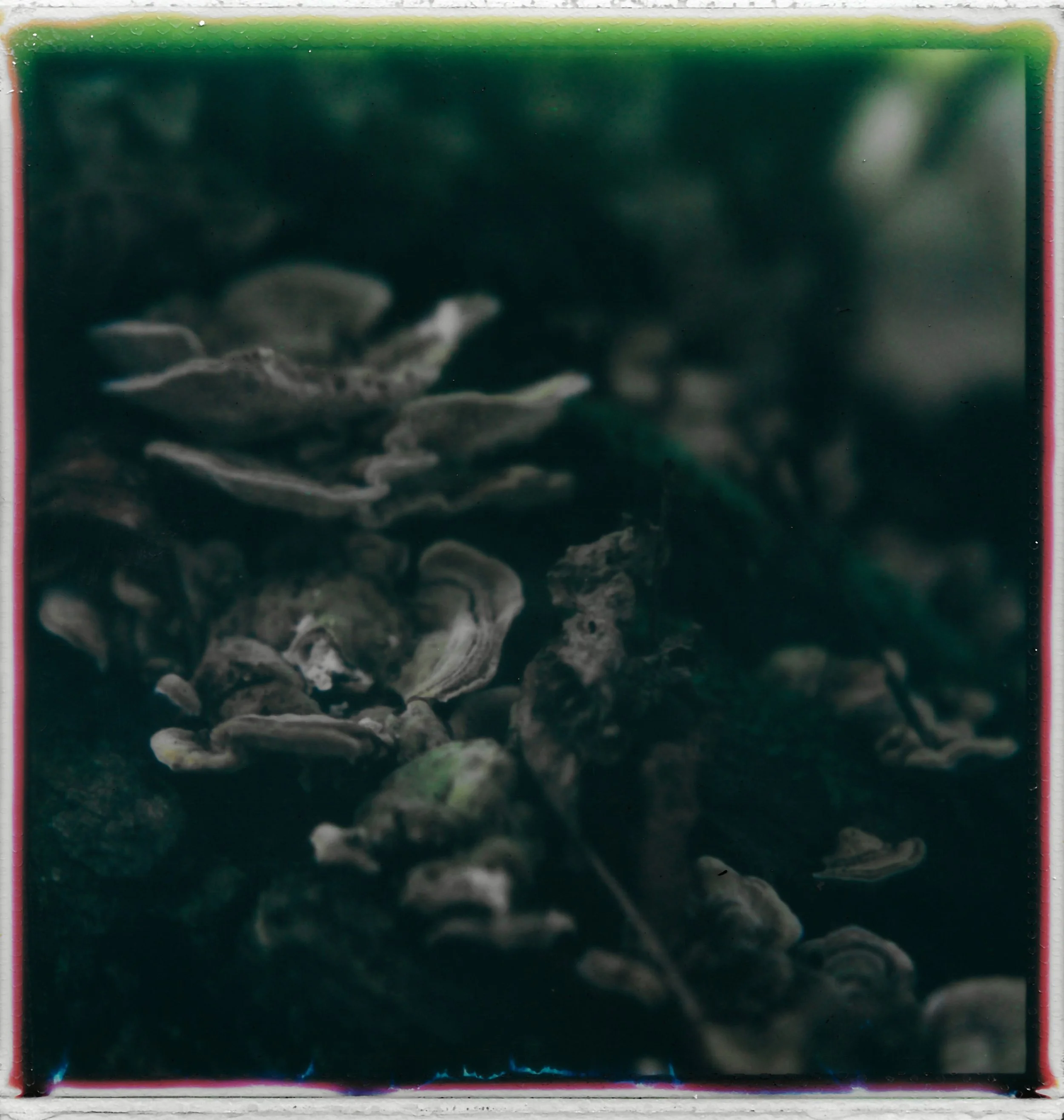 Close-up of a textured surface with layered, twisted, and irregularly shaped patterns in shades of gray and green, with a green border at the top.