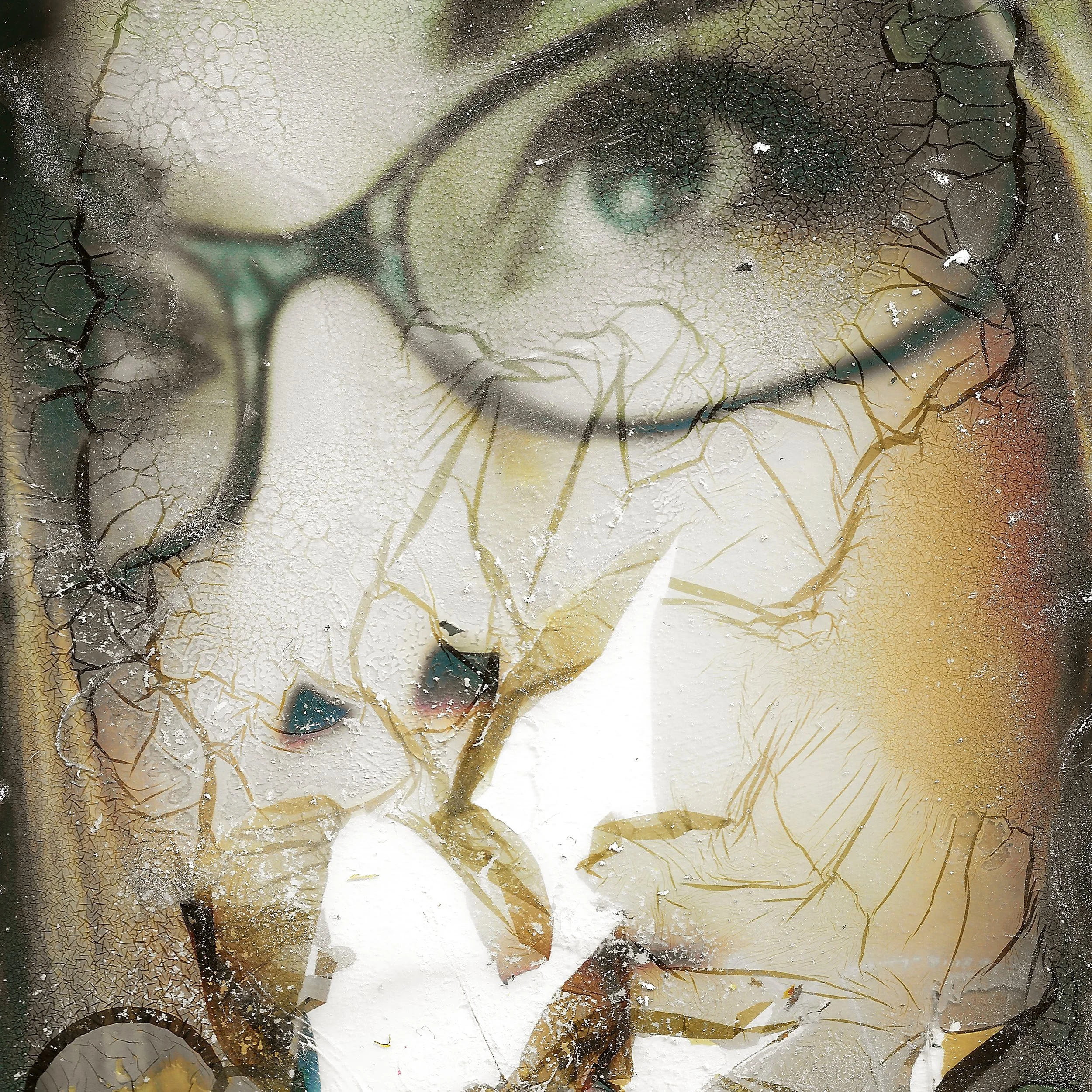 A close-up of a person's face with glasses, partially obscured by a cracked, peeling surface, creating an abstract, textured effect.
