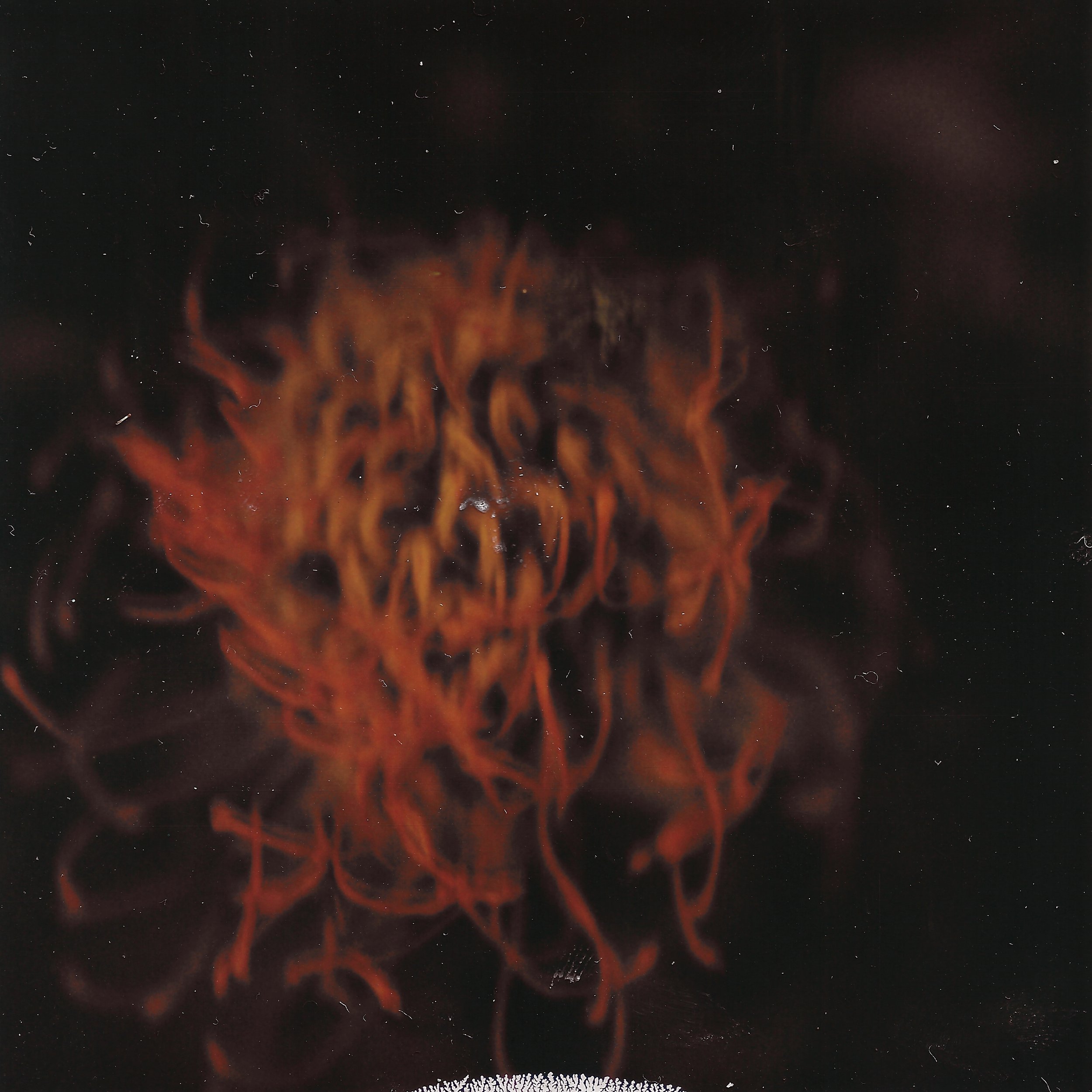 Red swirling ink diffusing in dark water.