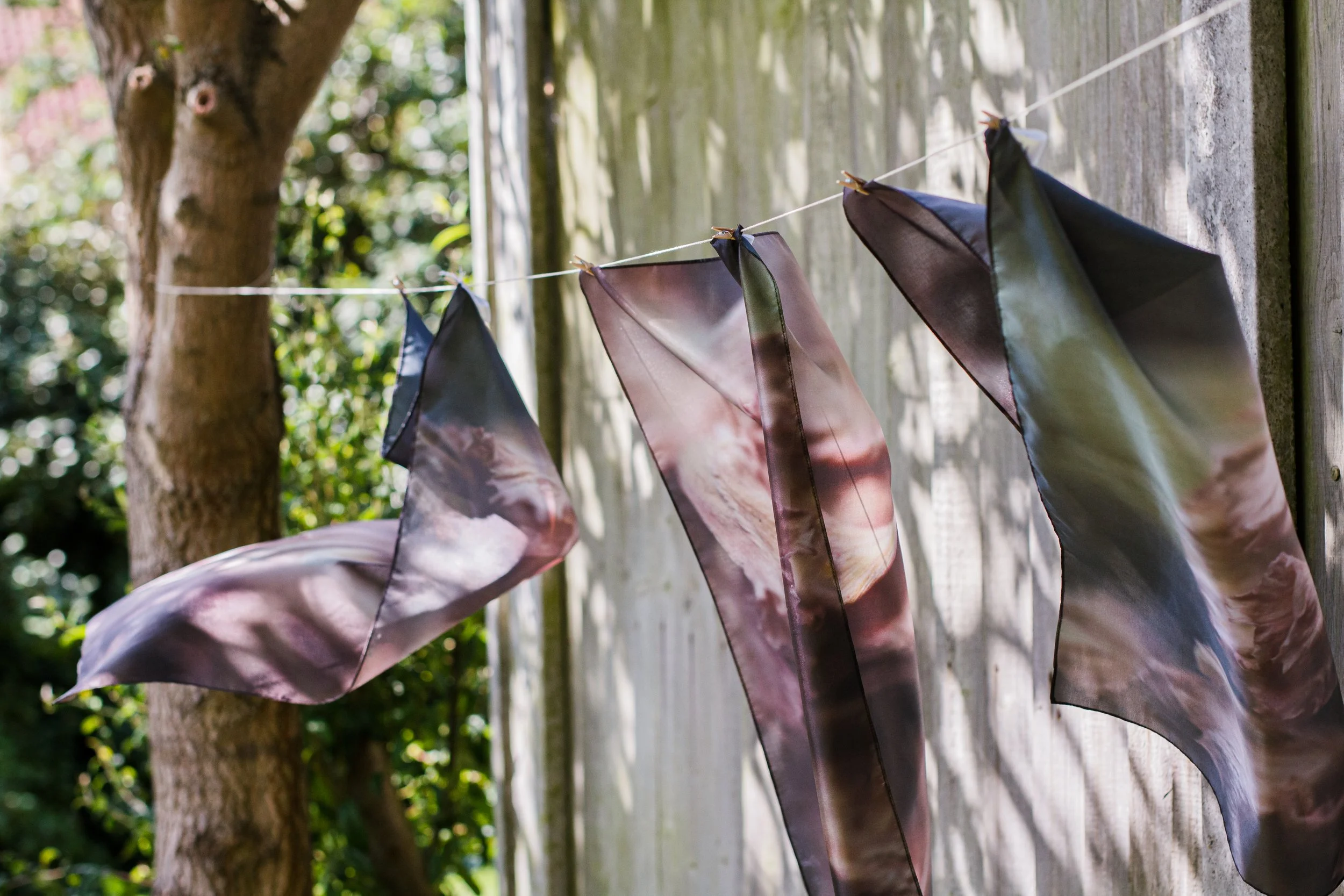 Colored silk scarves hanging on a clothesline with a wooden fence and trees in the background.