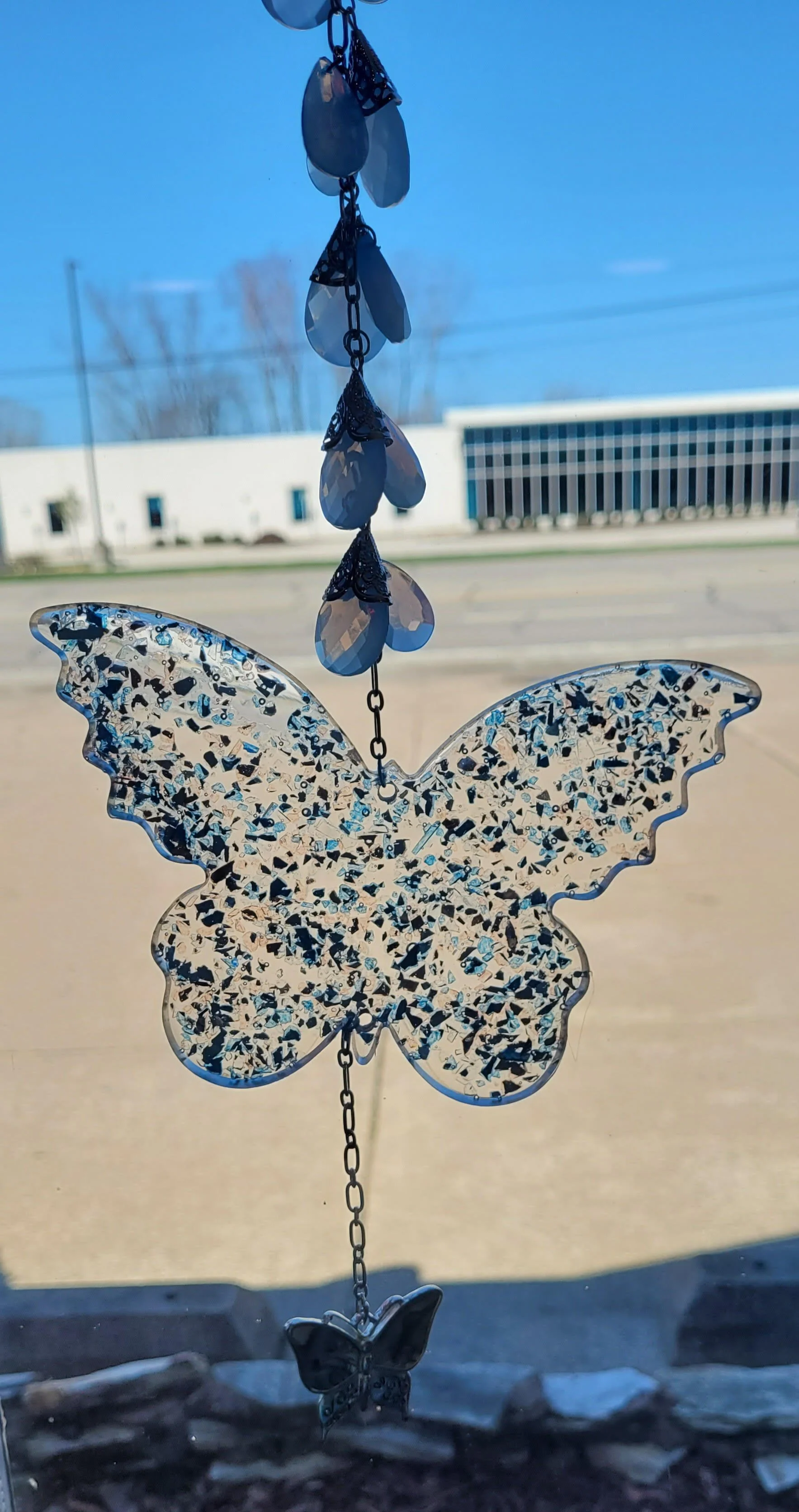 blue butterfly sun.jpg