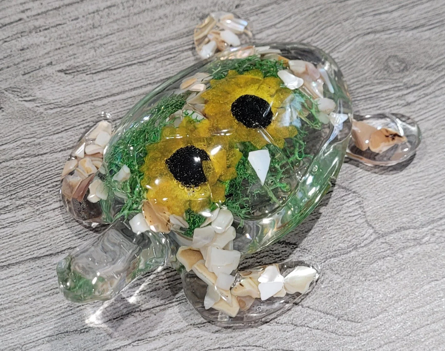sunflower turtle.jpg