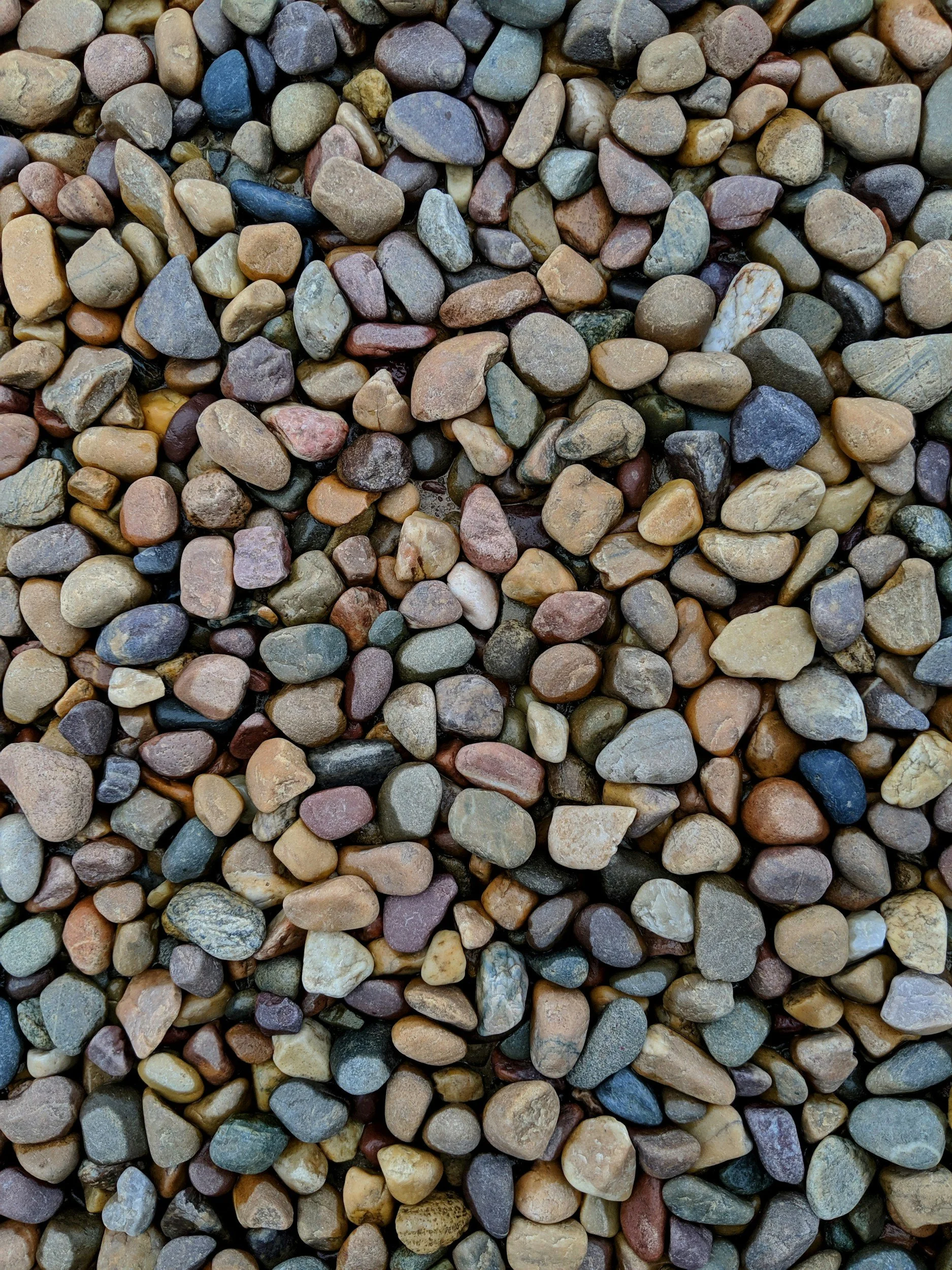 Close-up of assorted small, smooth rocks and pebbles in various natural colors and shapes.