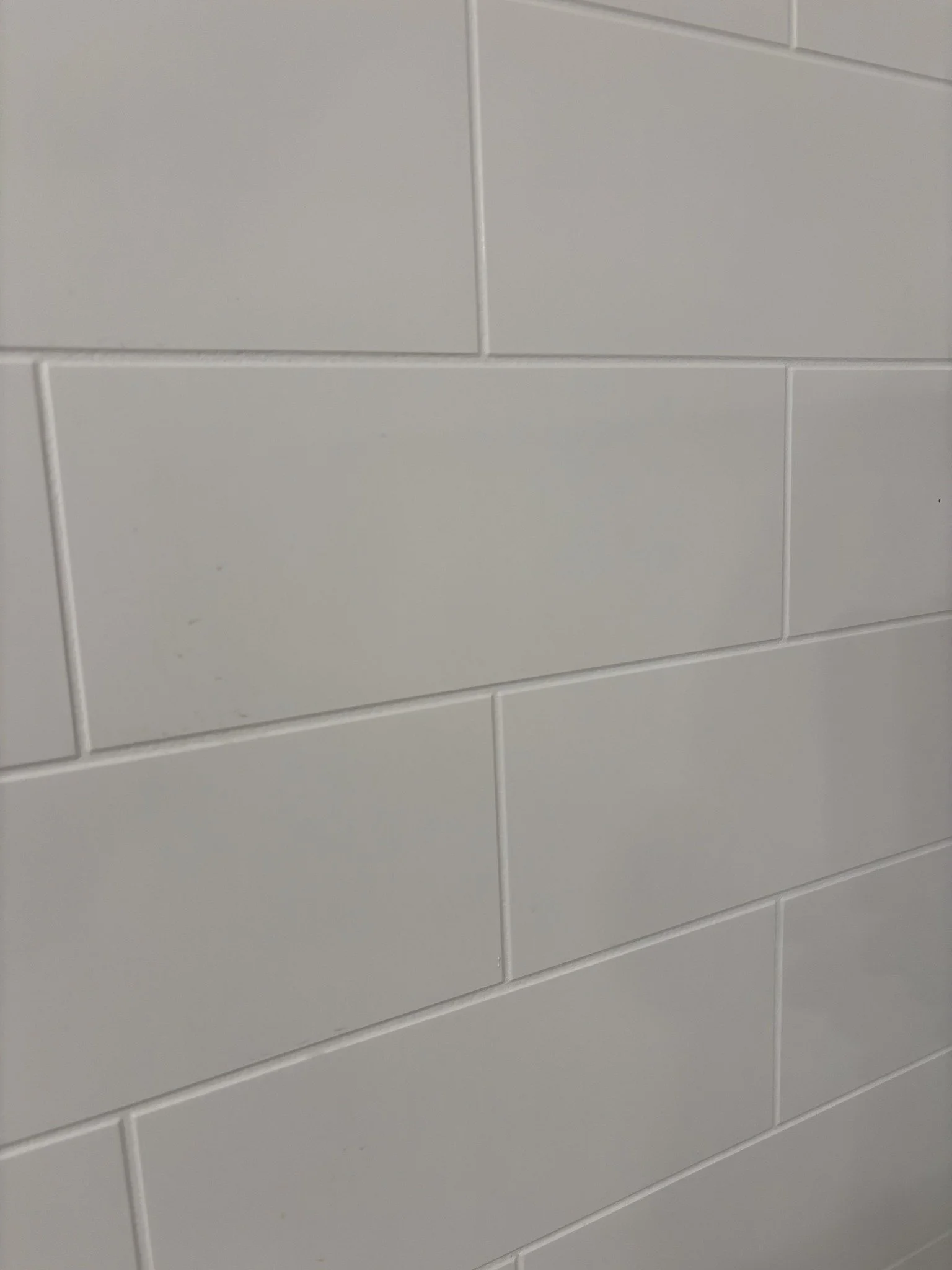539931051_122093440671001825_2228620180818216317_n.jpg