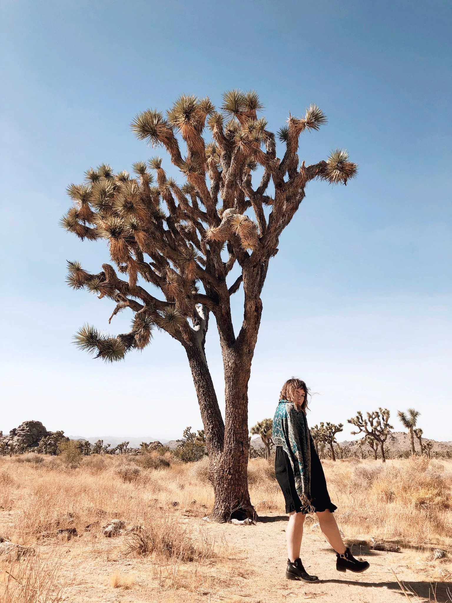 A woman standing under a Joshua tree in a desert landscape with dry grass, distant mountains, and a clear blue sky.