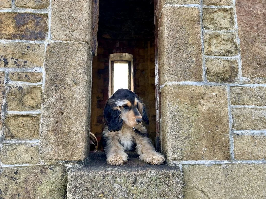 Eight mile circular walk from Gwelmor 