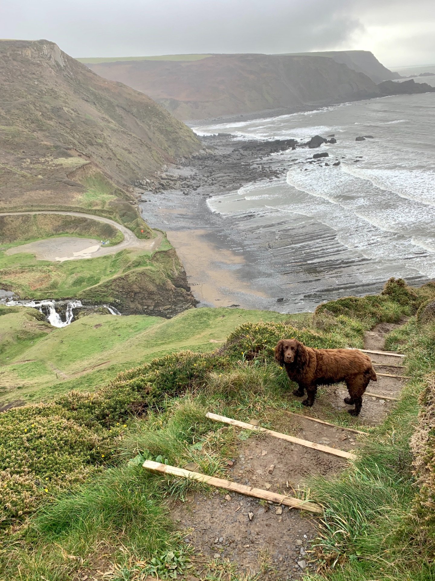 Hartland Quay to Morwenstow: Walk the South West Coast Path