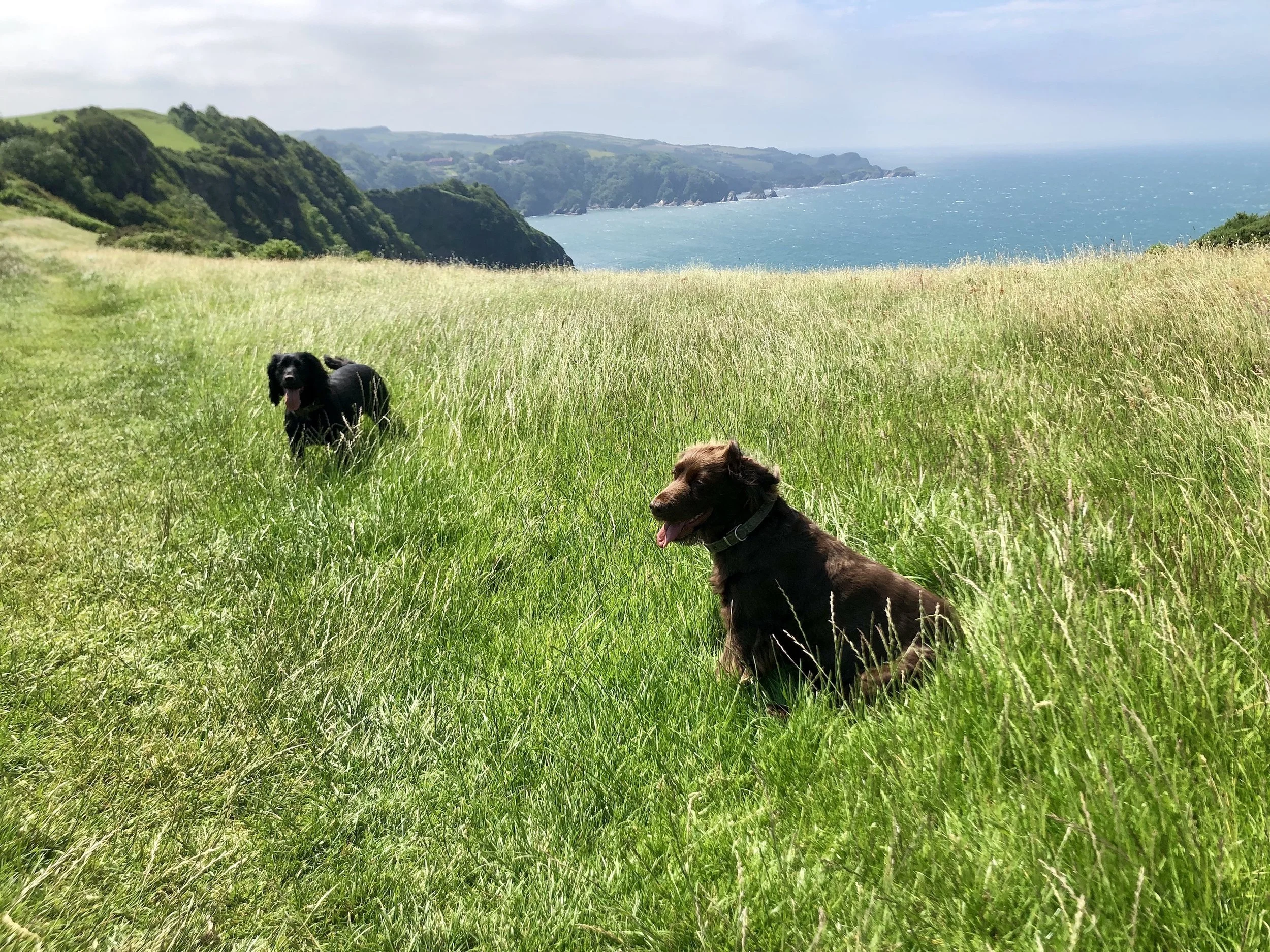 Heddon’s Mouth to Combe Martin: Walk The South West Coast Path