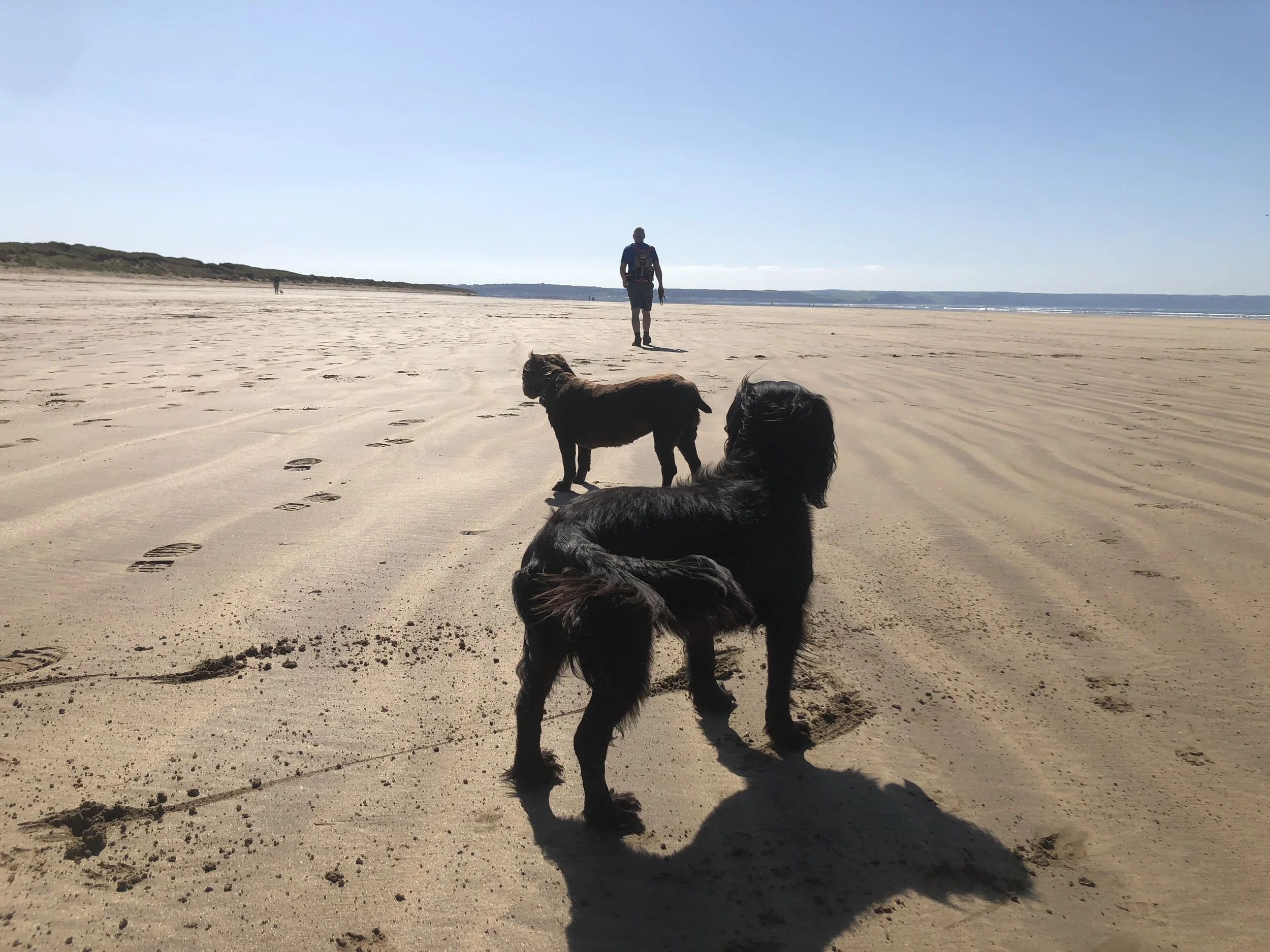 Saunton to Barnstaple: Walk the South West Coast Path