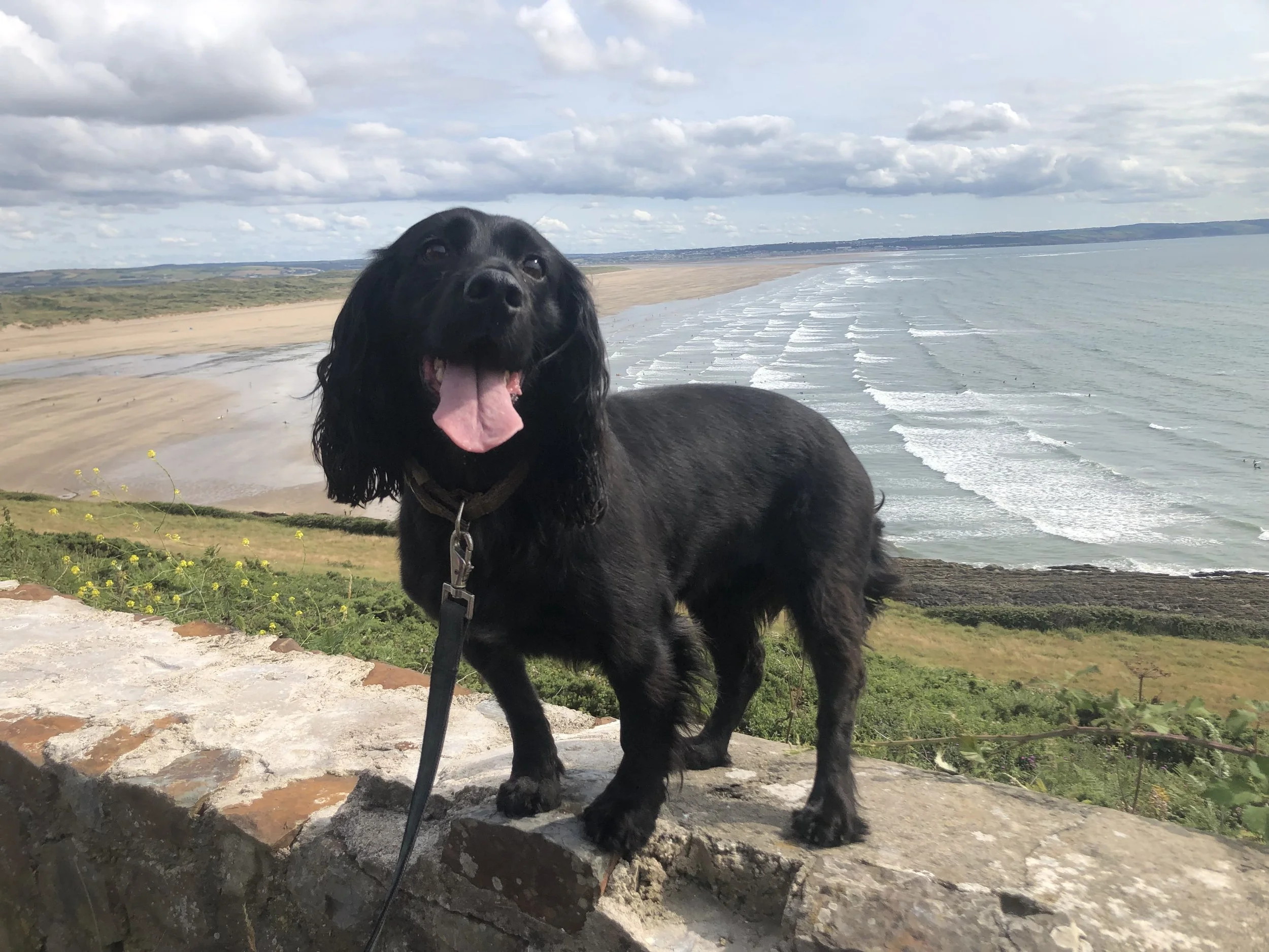 Woolacombe to Saunton: Walk The South West Coast Path