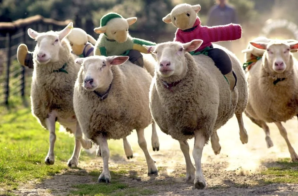 Rain fails to stop play at these Cornish attractions