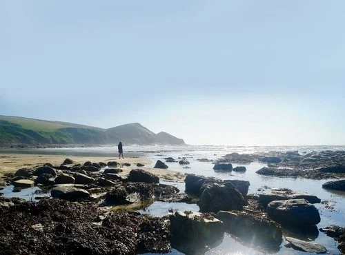 A person walking along a rocky beach with cliffs in the background under a cloudy sky.