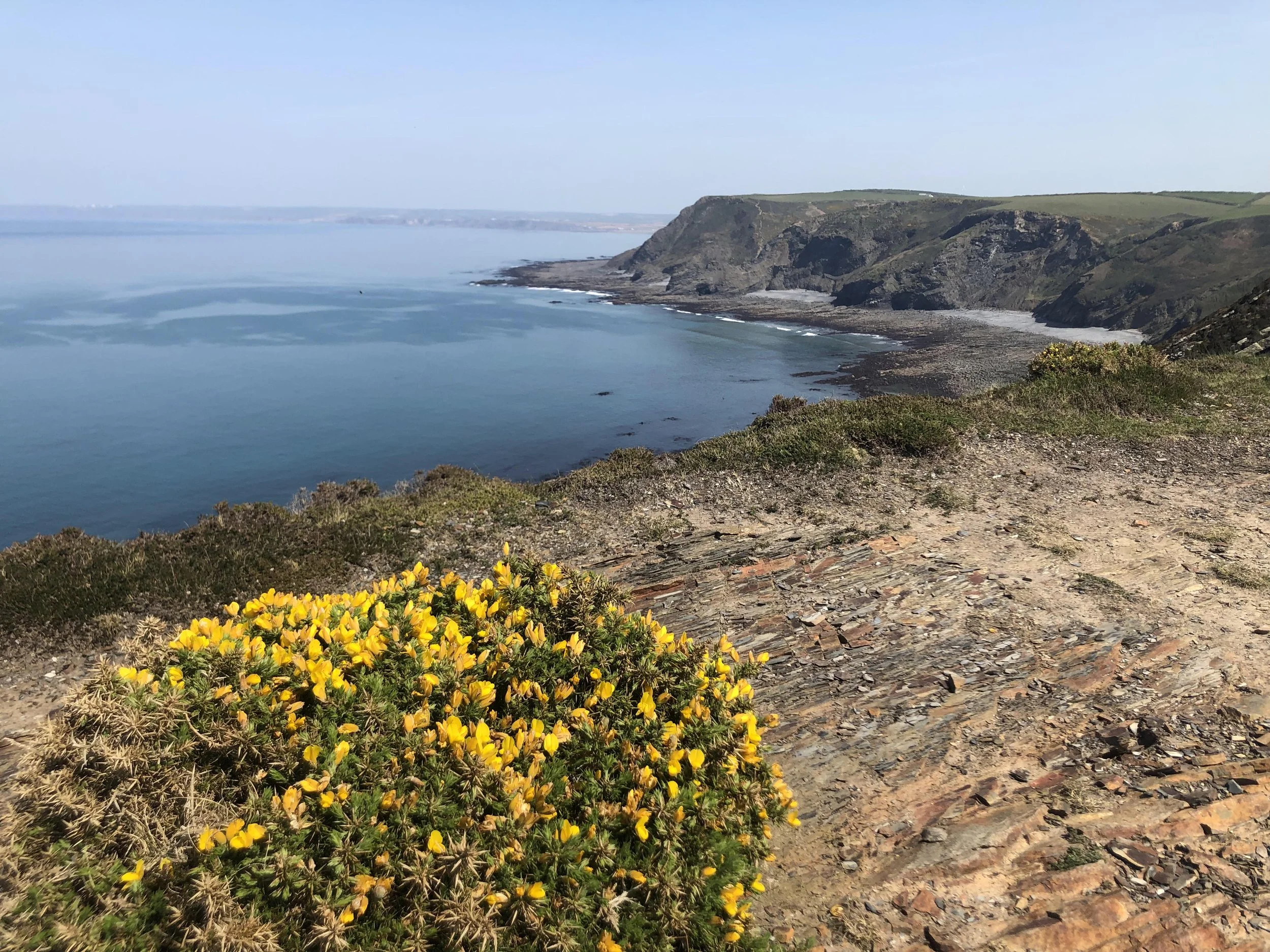 Widemouth to Crackington Haven: Walk the South West Coast Path