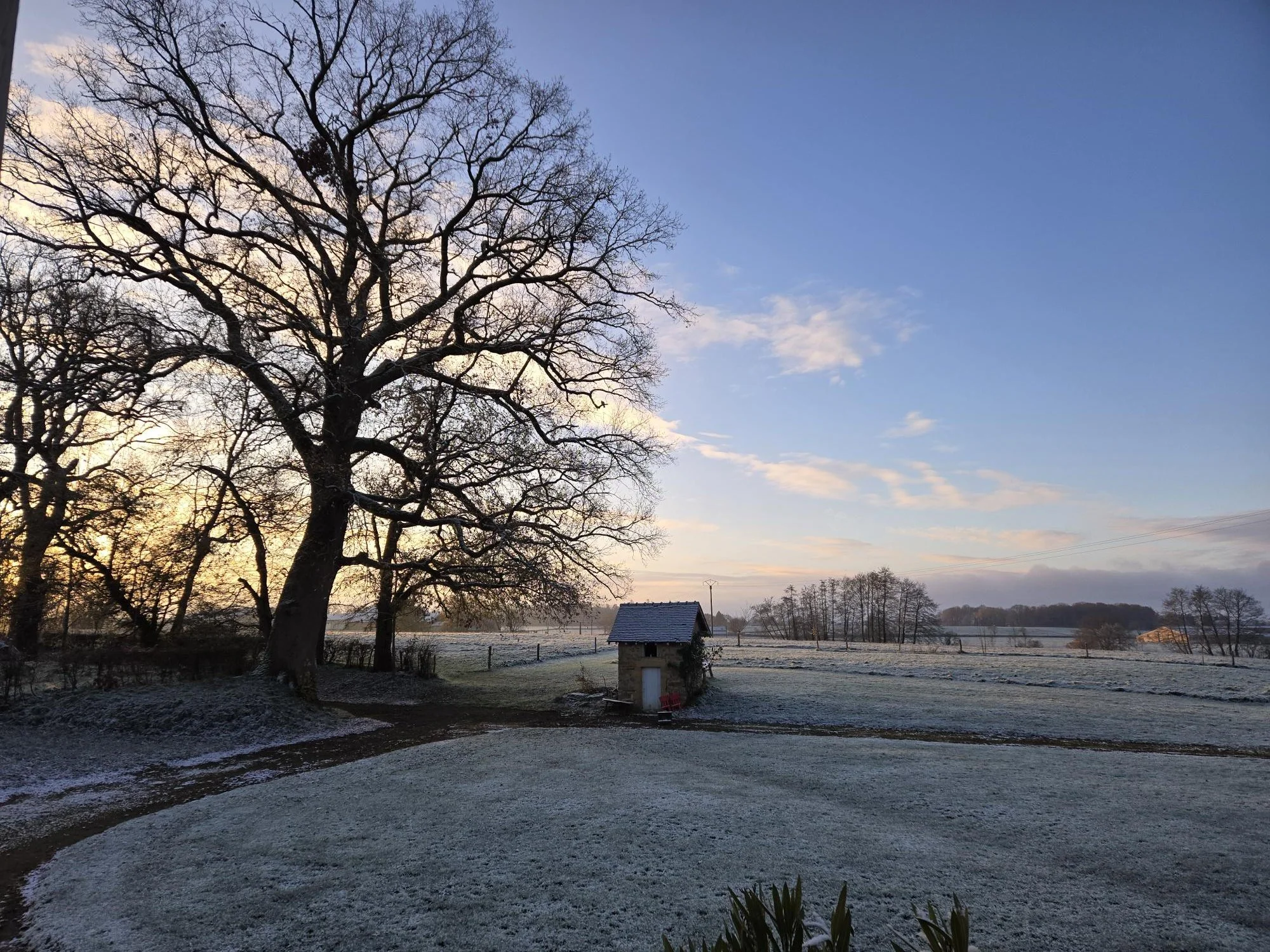 Un paysage rural au matin avec un arbre sans feuilles, un ciel clair avec quelques nuages, une petite maison et un champ entouré d'une barrière.