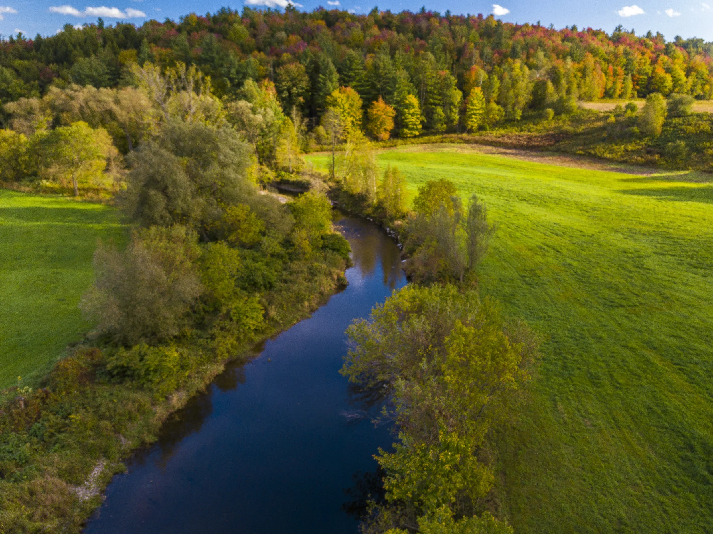 A quiet riverside ceremony location along Tyler Branch, surrounded by rolling fields and trees at Swiss & Bloom Farm.