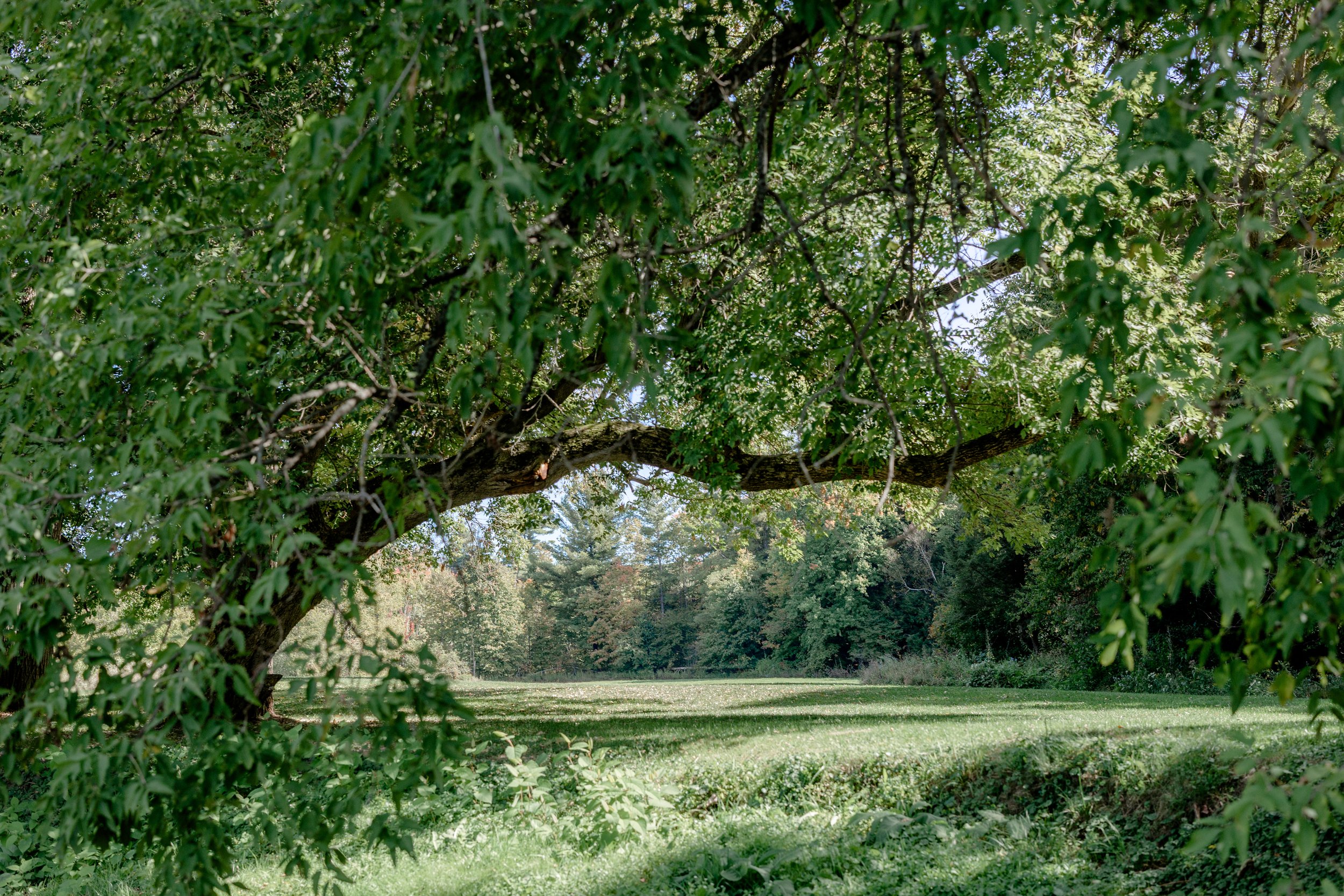 Scenic landscape near Tyler Branch at Swiss & Bloom Farm, showcasing the natural beauty surrounding the wedding venue.