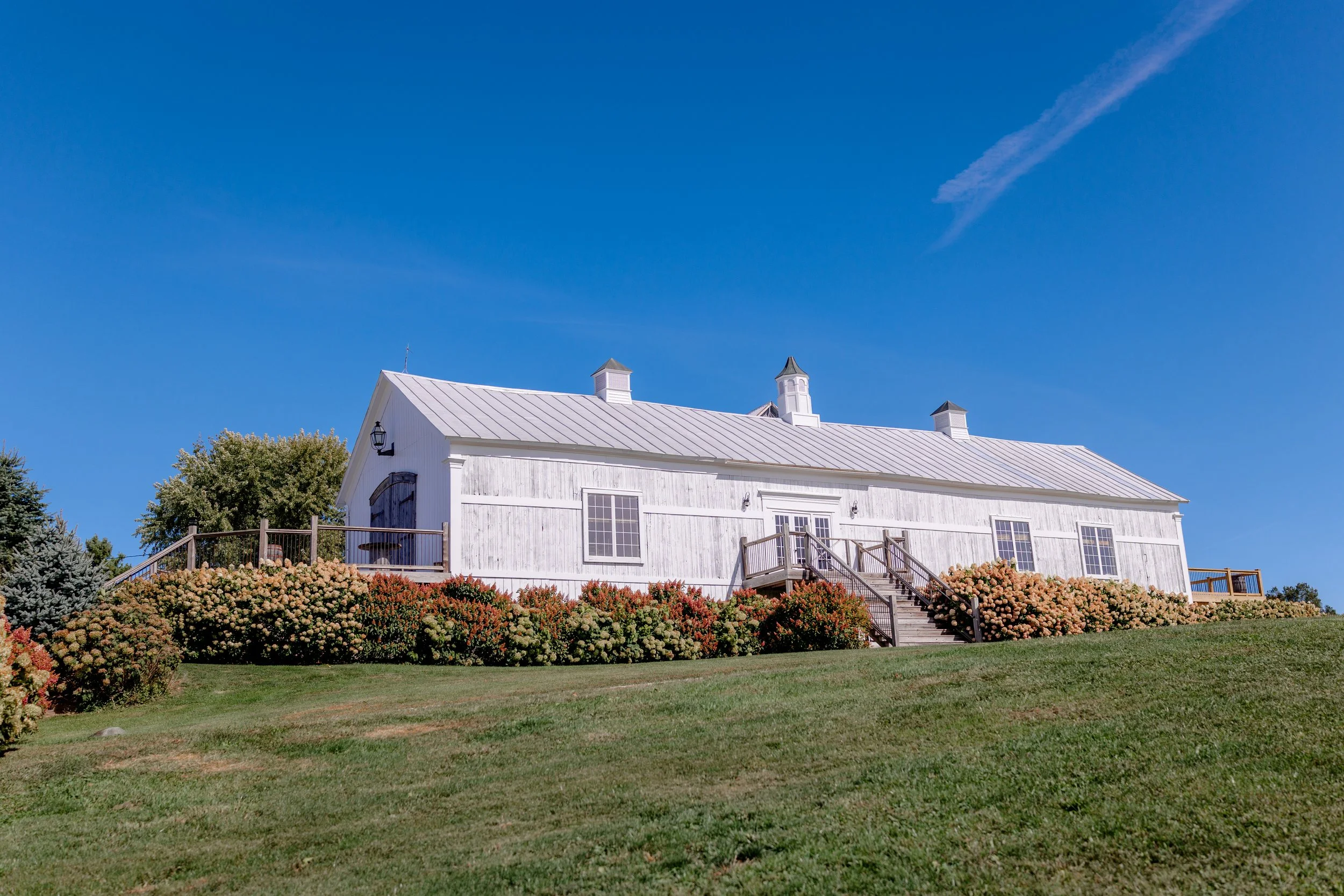 Exterior of the restored wedding barn at Swiss & Bloom Farm with white siding, greenery, and a clear Vermont sky.