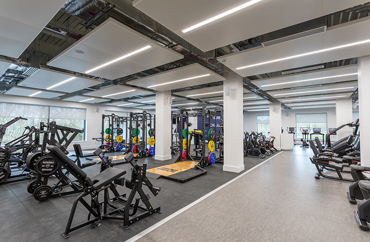 Modern gym with weightlifting equipment, cardio machines, and bright lighting.