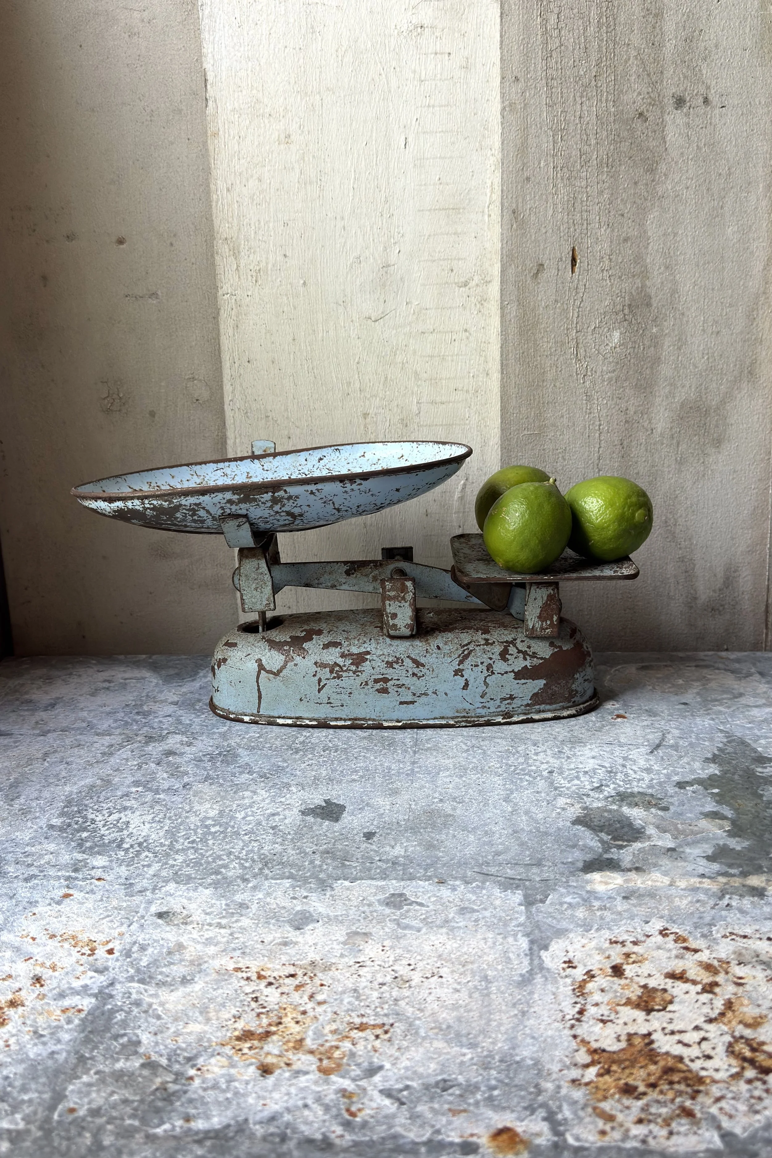 Old blue scales 5.jpeg