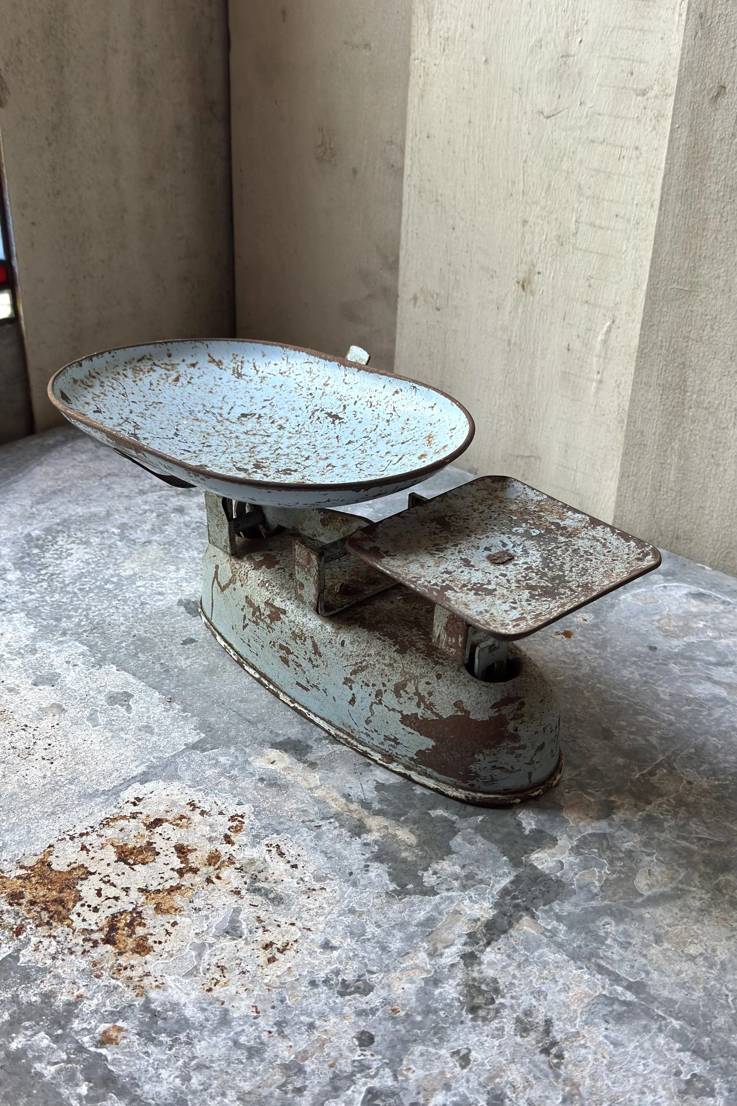 Old blue scales 1.jpeg