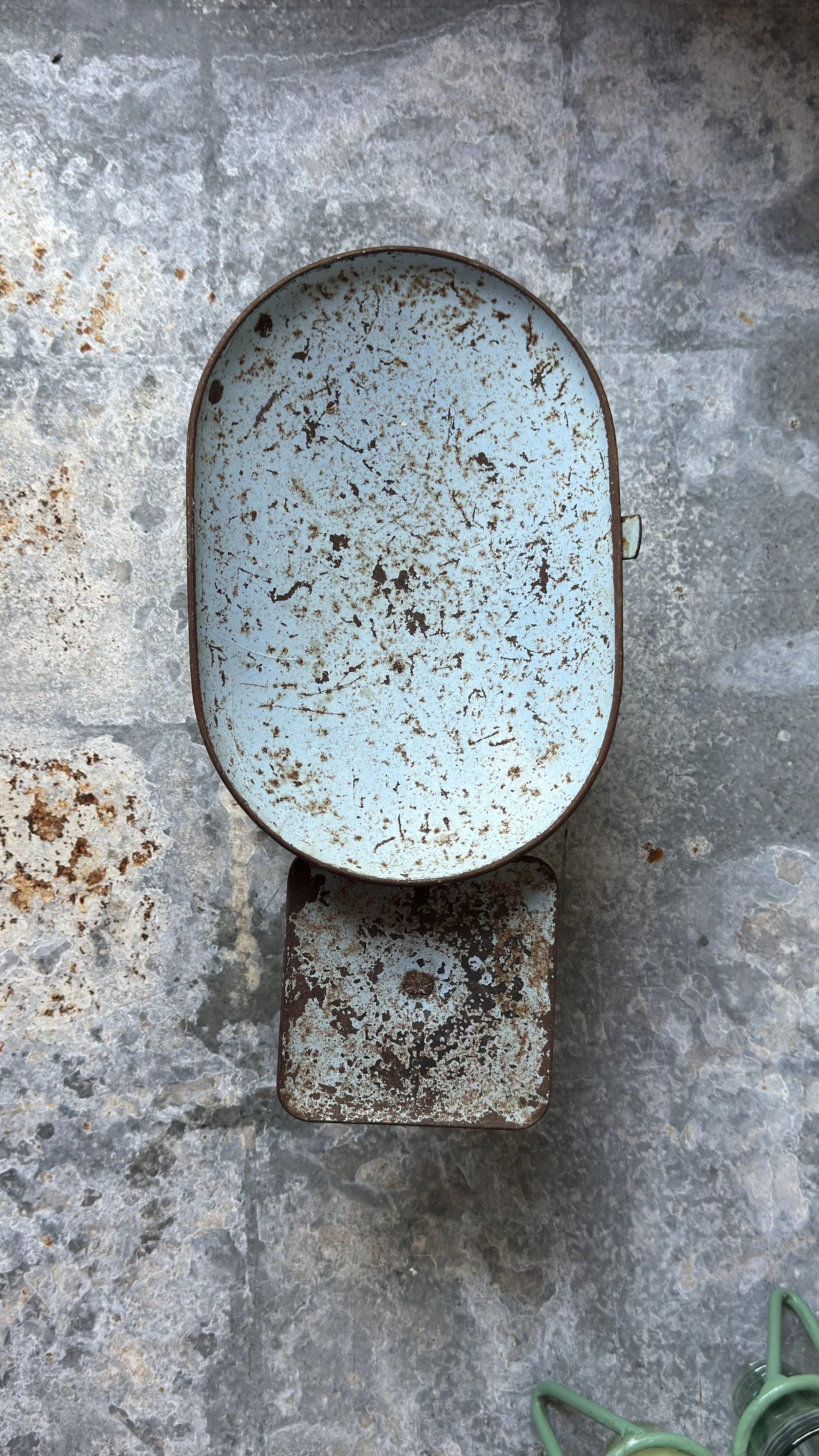 Old blue scales 2.jpeg