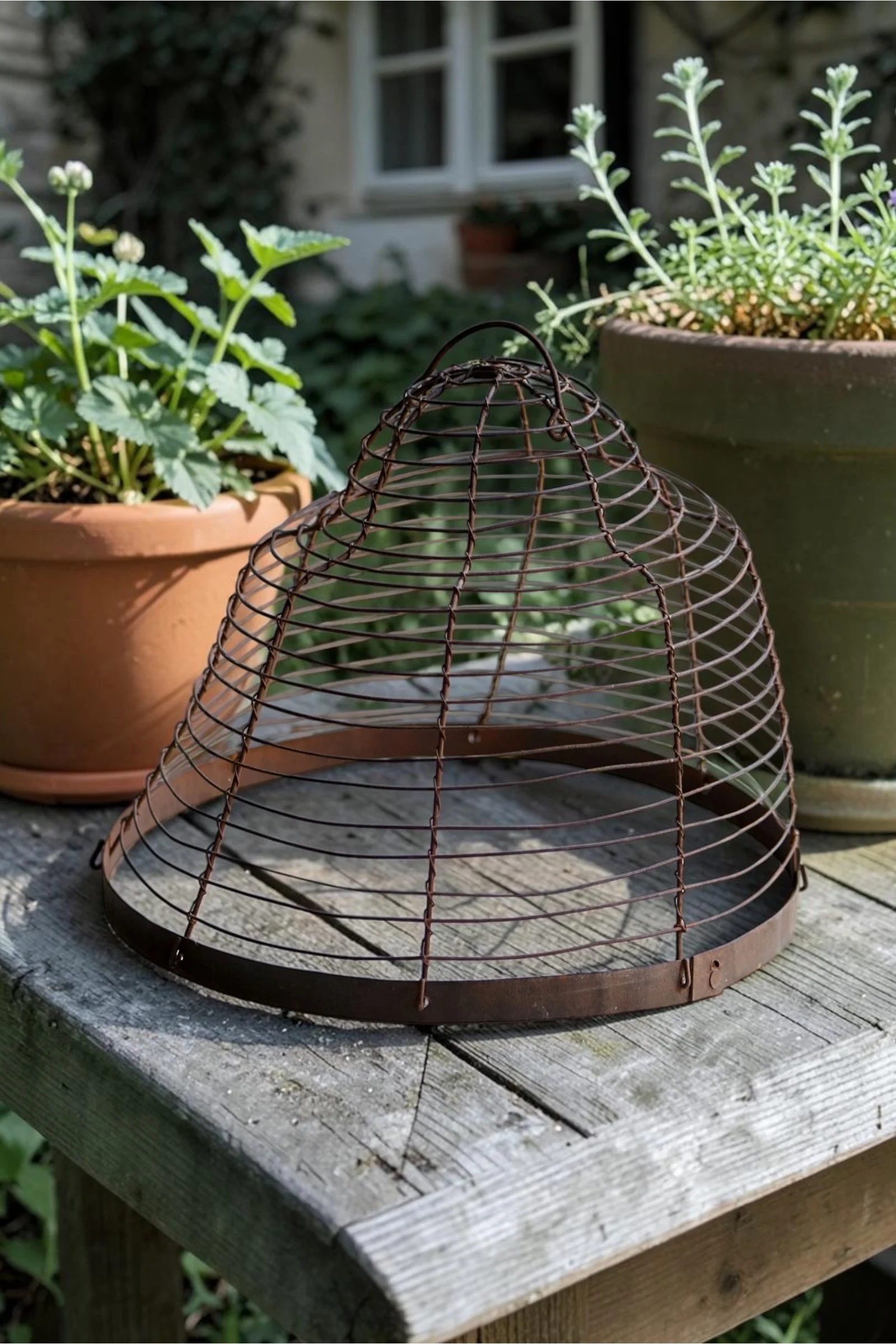 Metal dome curved top 5.JPG