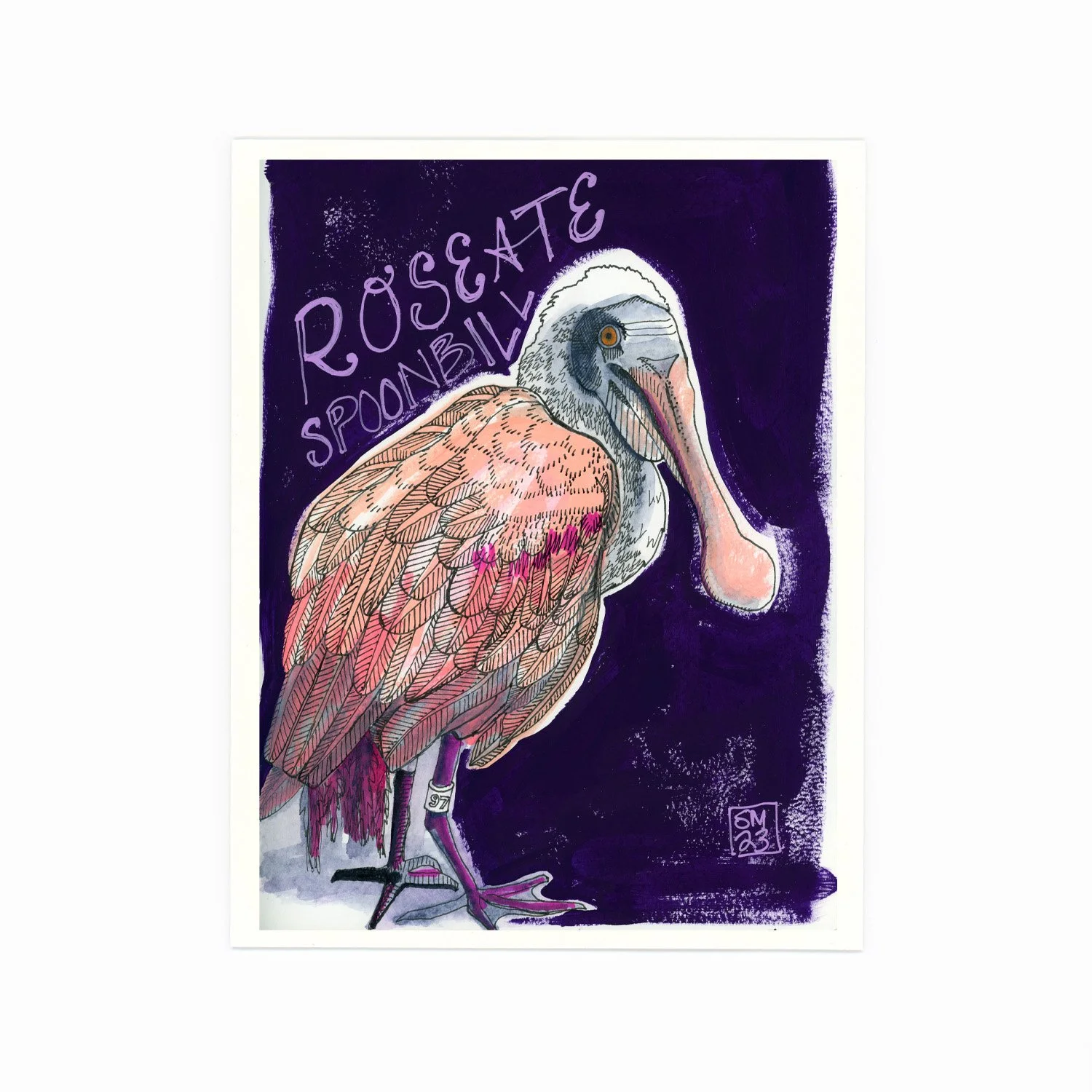Illustration of a spoonbill with a long beak and colorful feathers, standing against a dark purple background