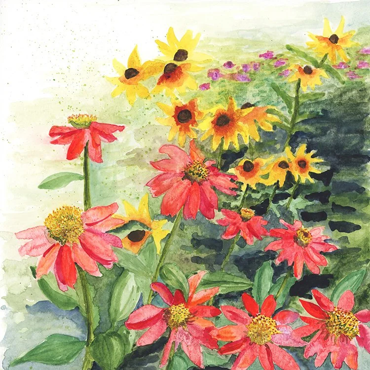 Coneflowers on Grant Street