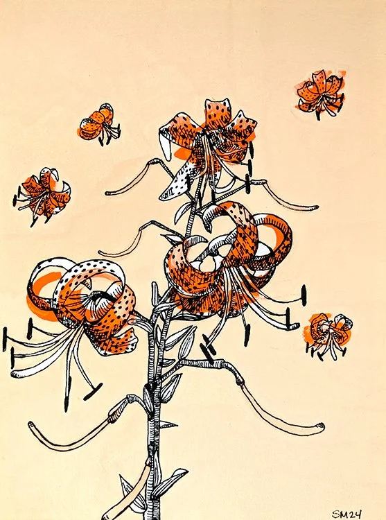 Tiger Lilies