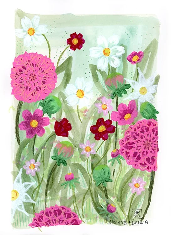 Cosmos + Dahlias