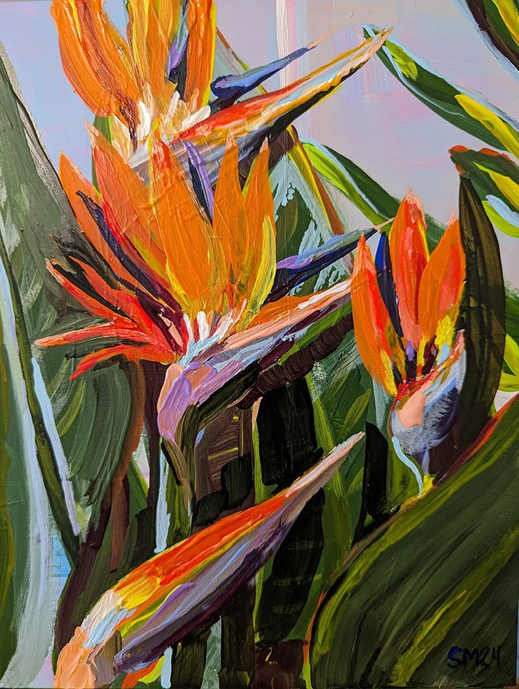 Bird of Paradise