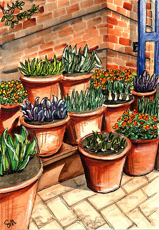 Pots at the Chicago Botanic Gardens