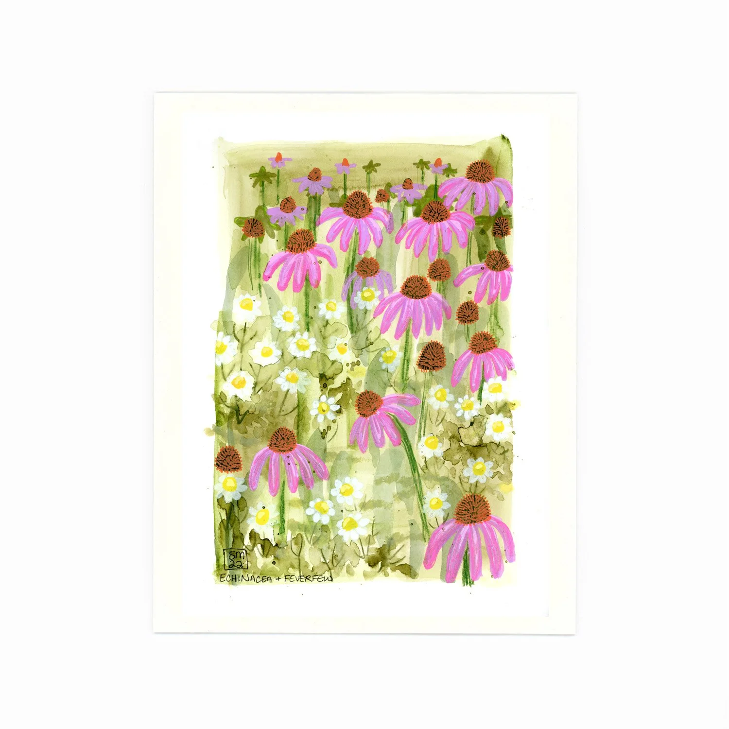 A watercolor painting of a garden with pink coneflowers, white daisies, and purple coneflowers. The flowers are lush and vibrant, with green foliage in the background.