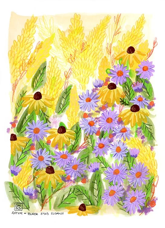 Asters + Black Eyed Susans