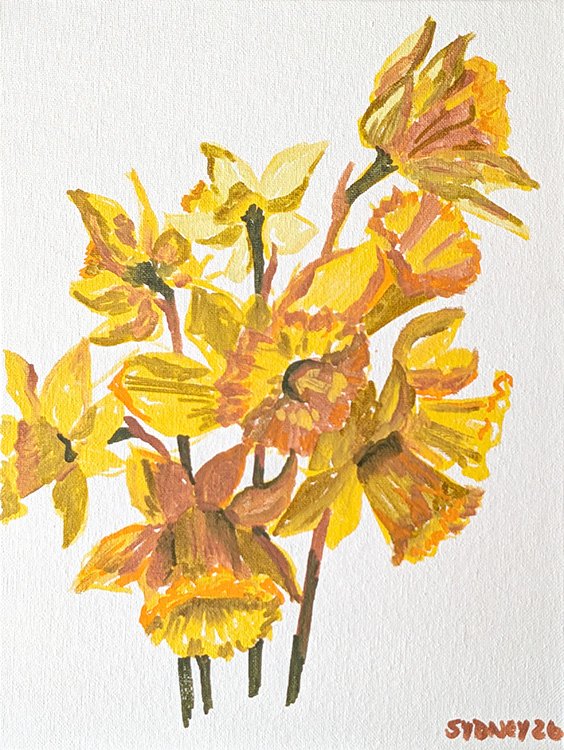 Daffodiles