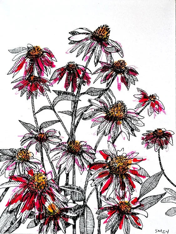 Cone Flowers