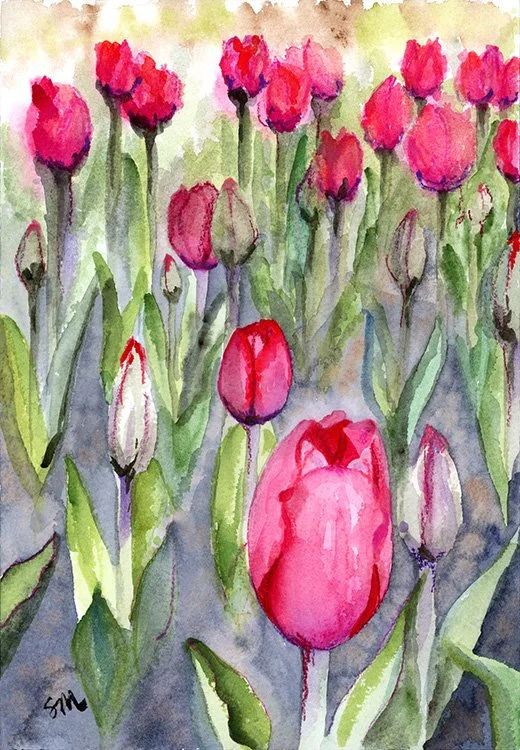 Tulips at Cantigny