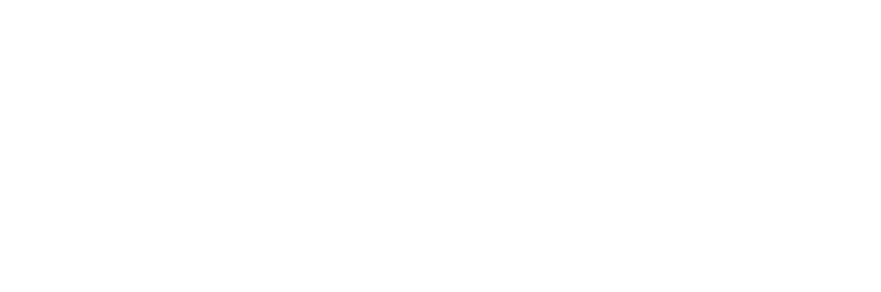 RNIC