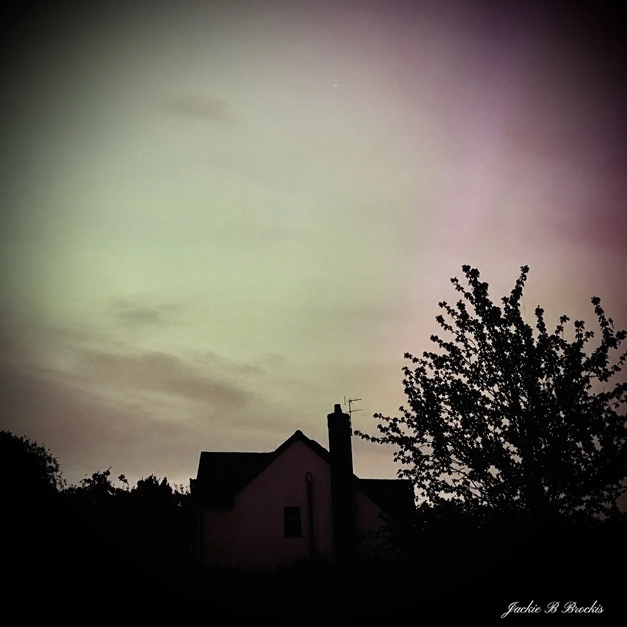 image00002.jpeg
