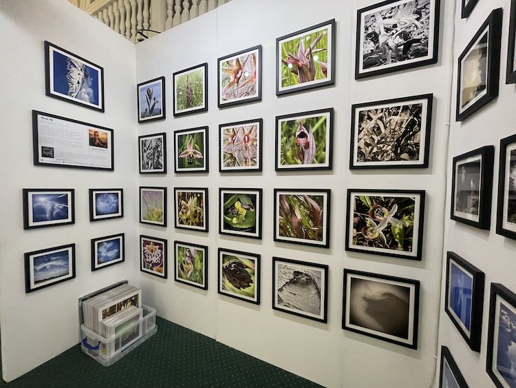 Chelsea Old Hall_My Exhibition itself.jpeg